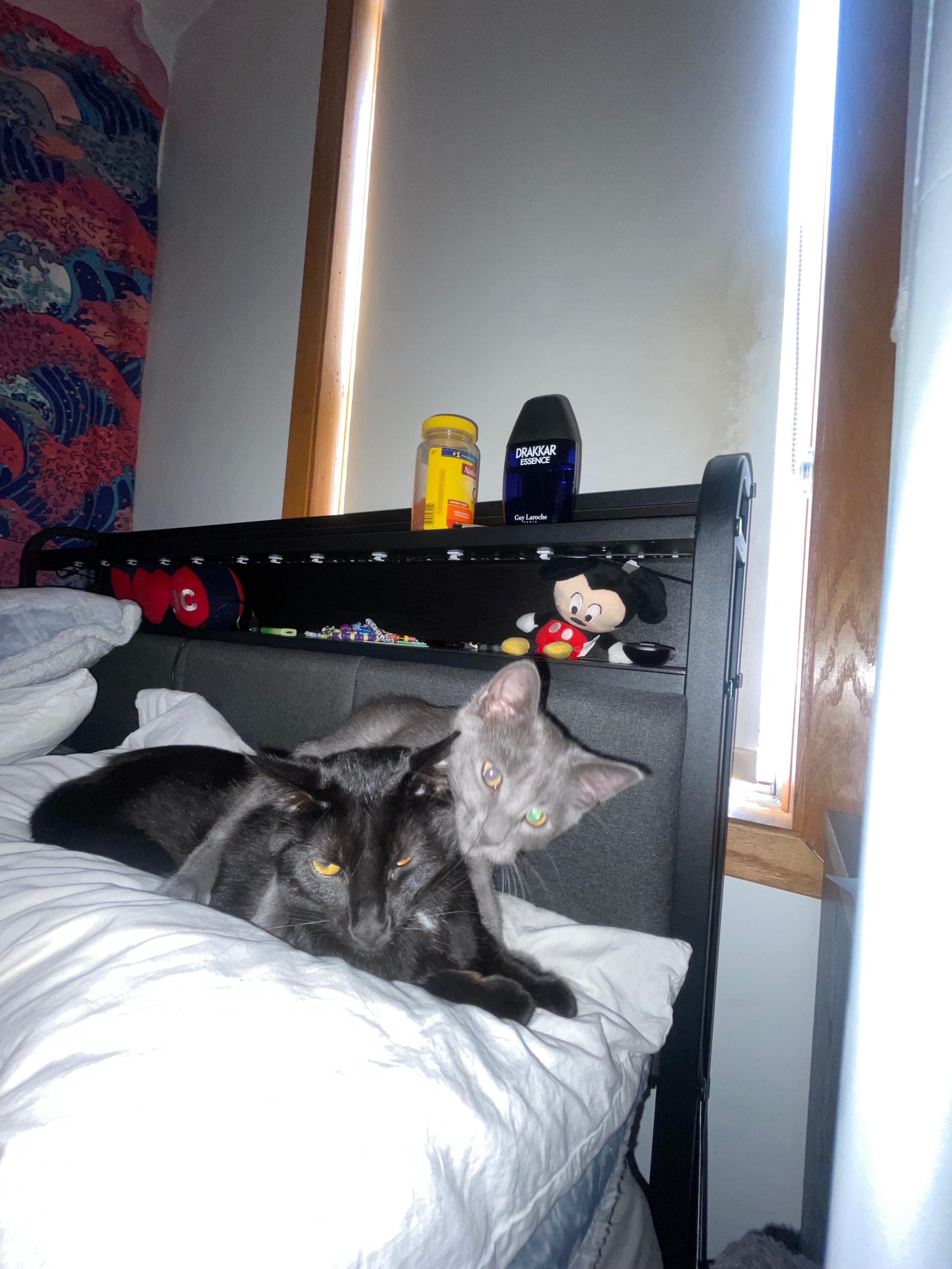 Donate to Soma's Medical Recovery campaign photo, 2 of 5