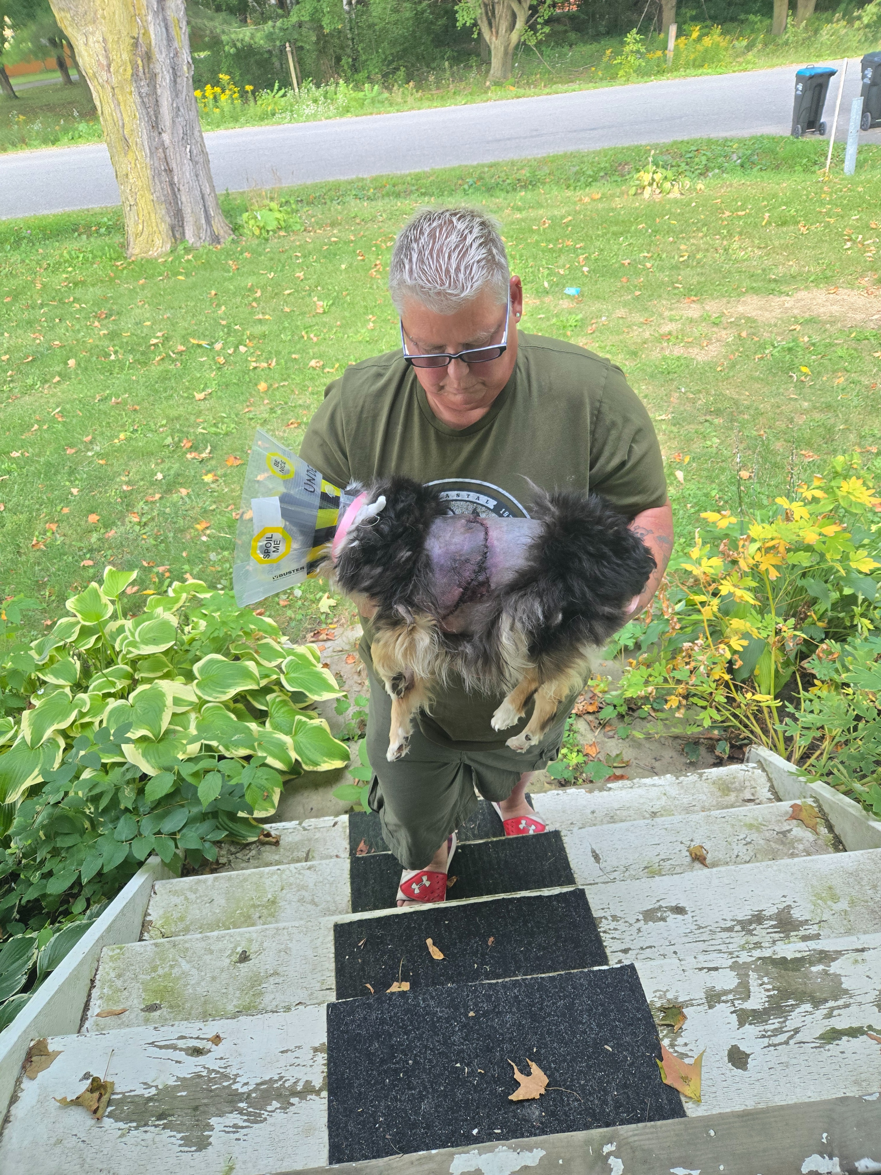 Emergency Vet bills for Dog Attack campaign photo, 4 of 7