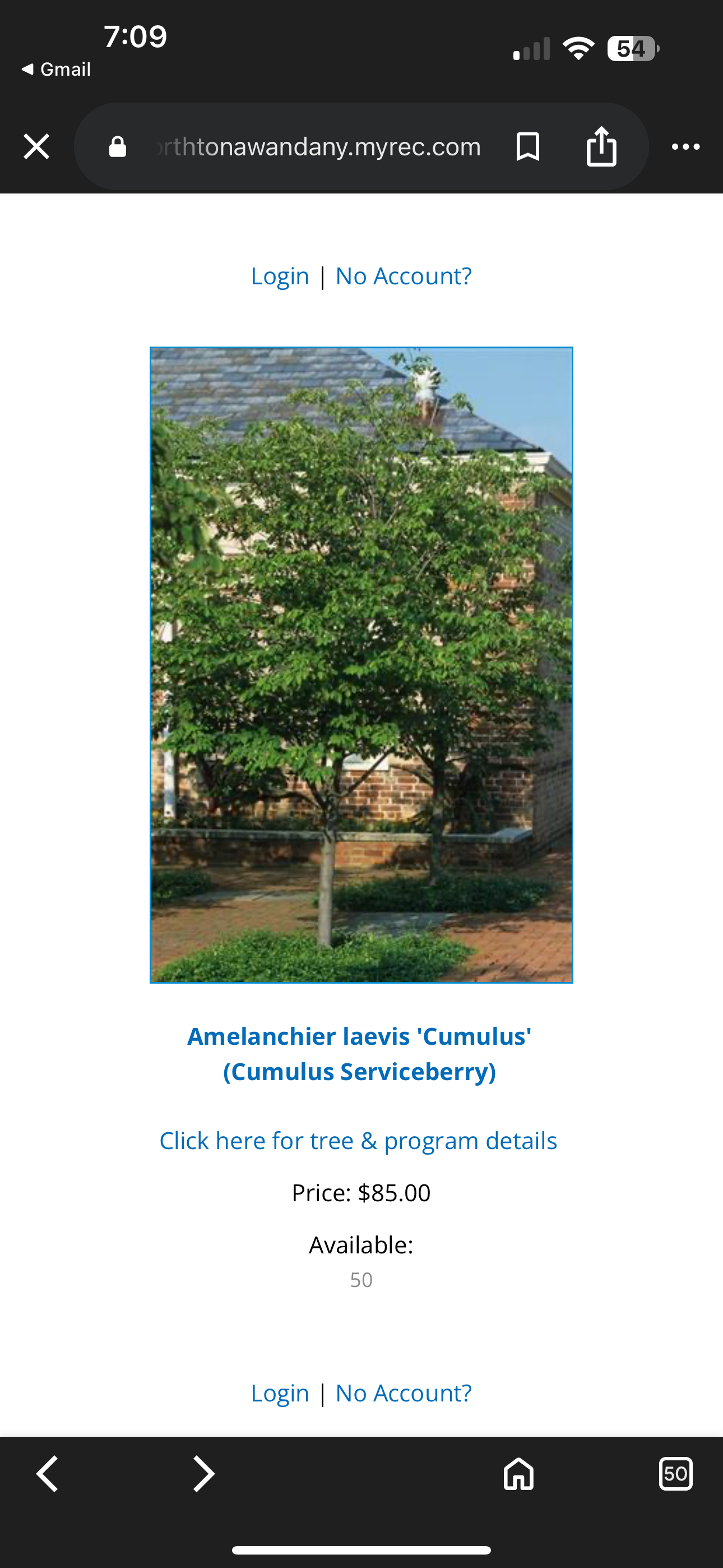 Honor Our Mom with a Beautiful Memorial Tree campaign photo, 4 of 5