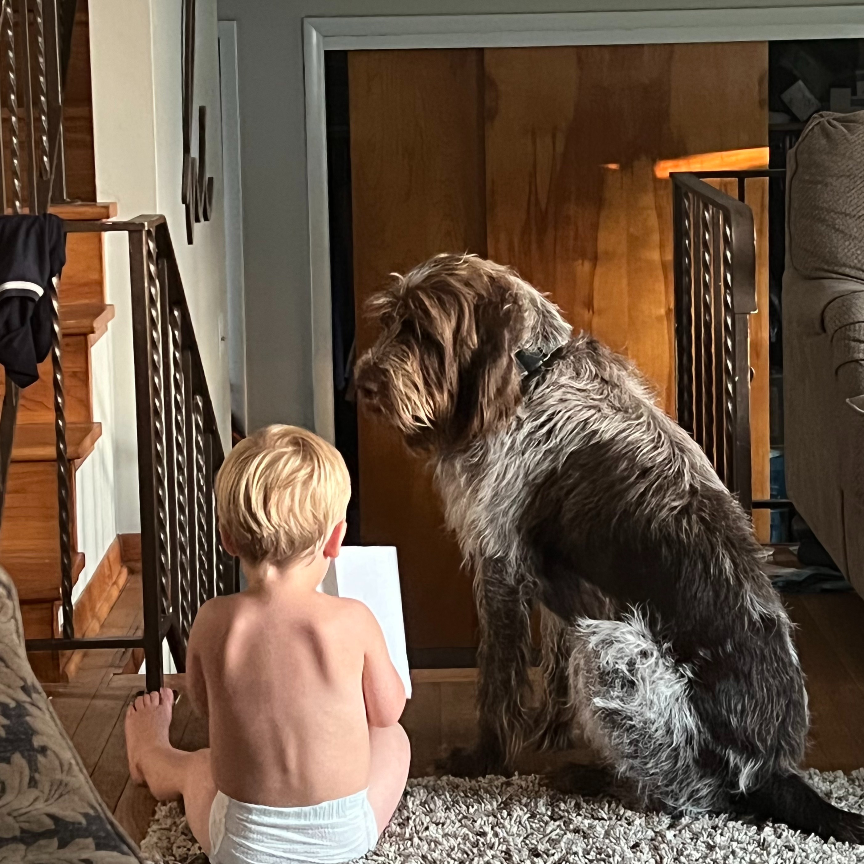 Help Archie Beat Epilepsy! campaign photo, 4 of 8