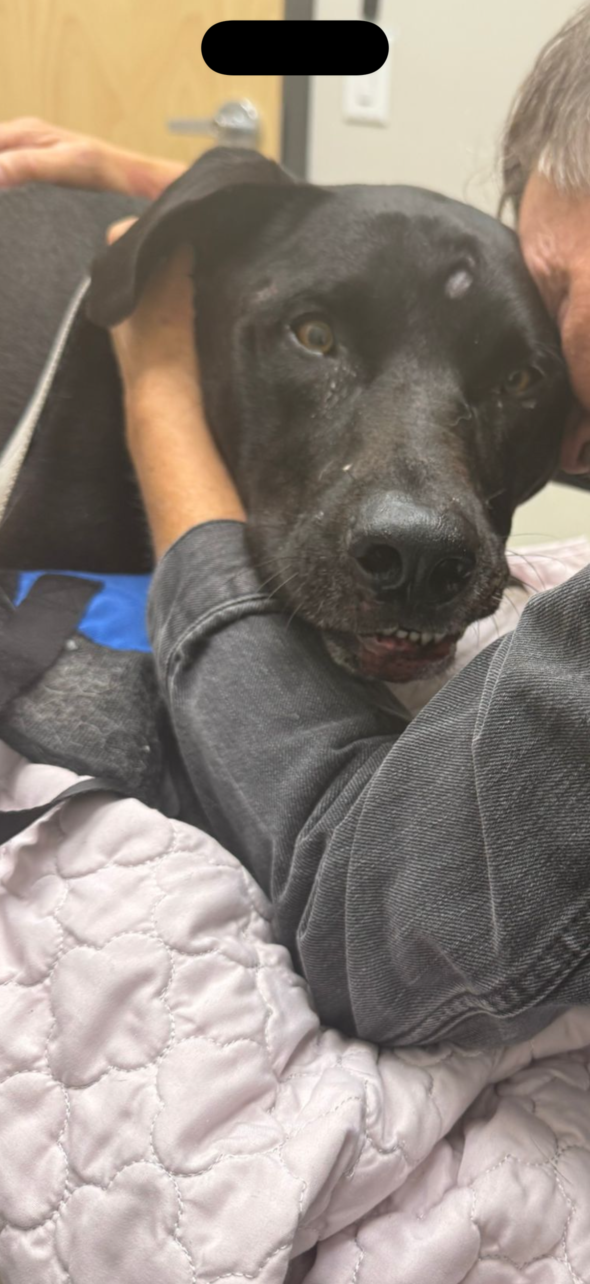 Help Shadow Keep His Life campaign photo, 6 of 8