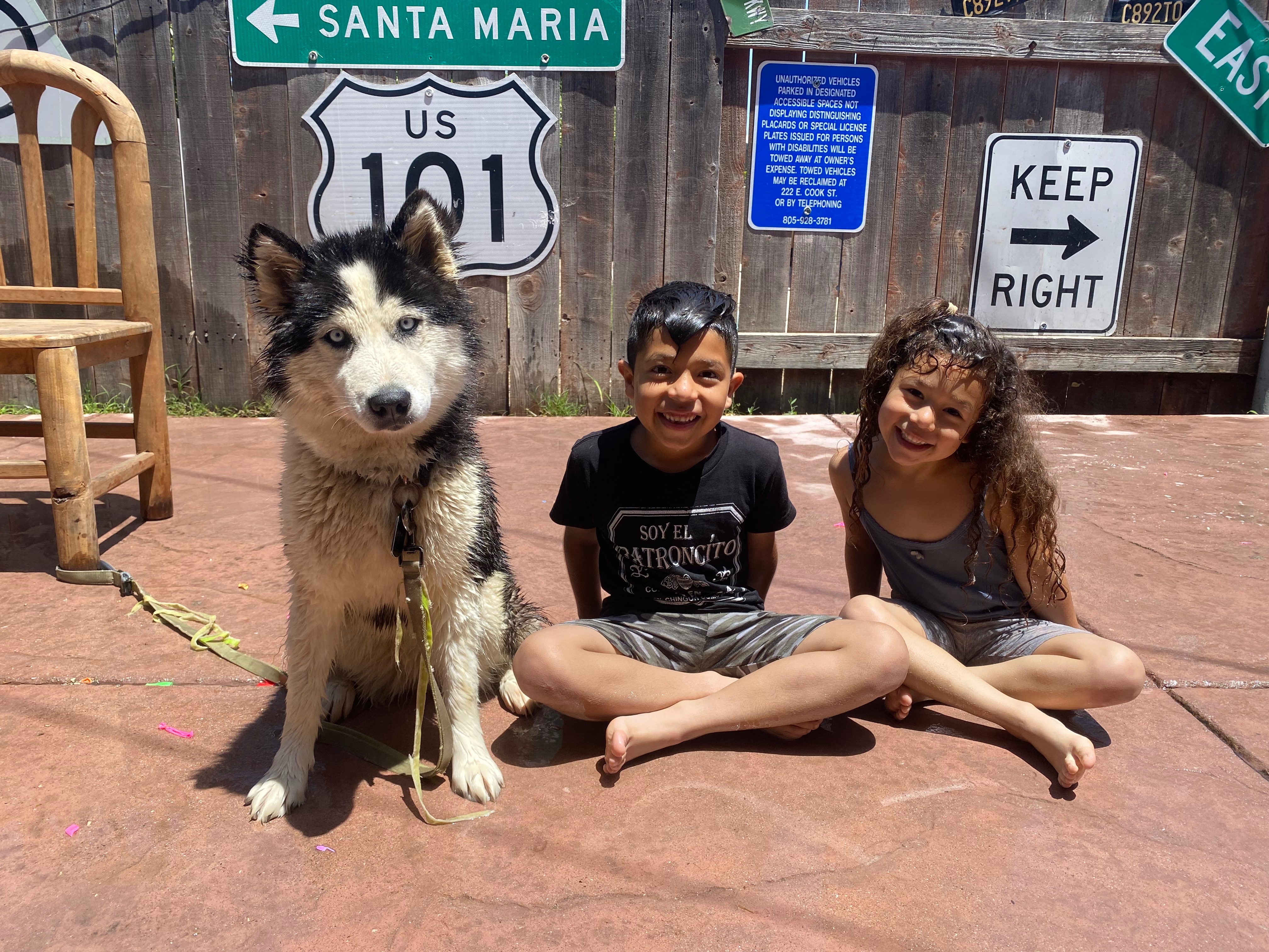 Luna needs help campaign photo, 6 of 8