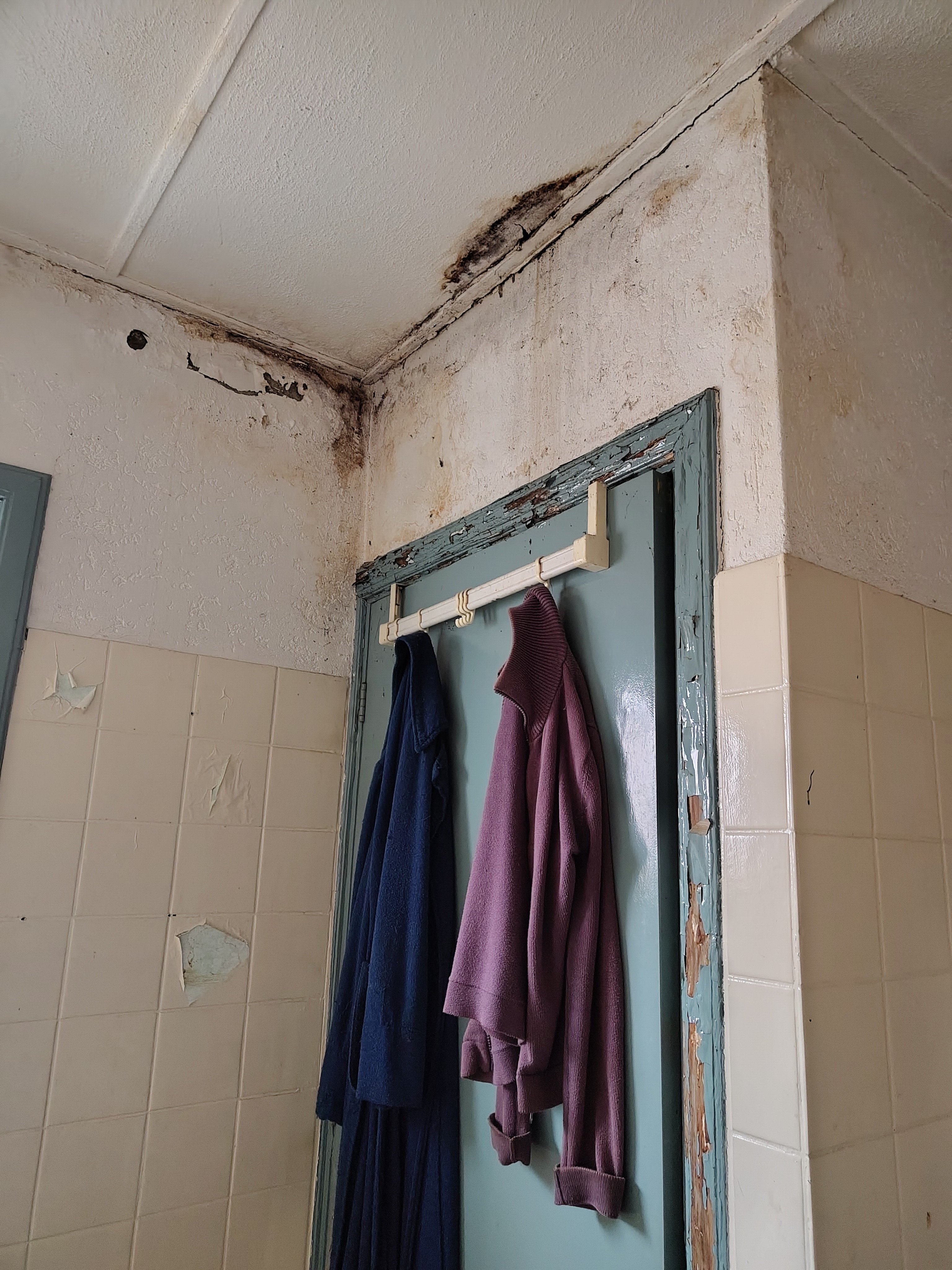 Help Anneke aan een fijn huis campaign photo, 6 of 8