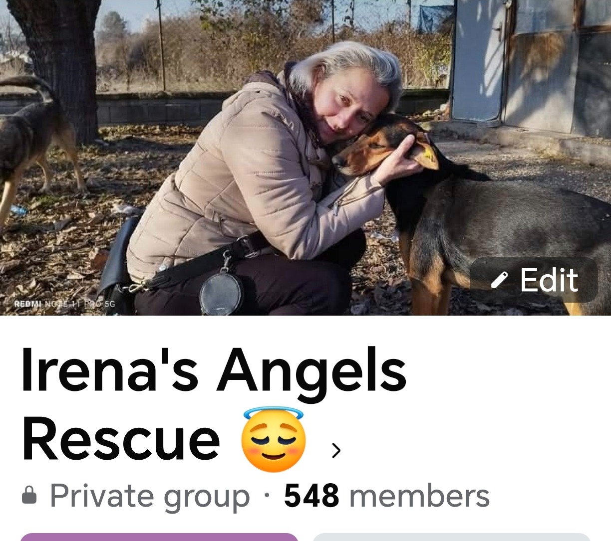Lou's B'day Fundraiser for Irena's Angels Neutering Scheme campaign photo, 5 of 8