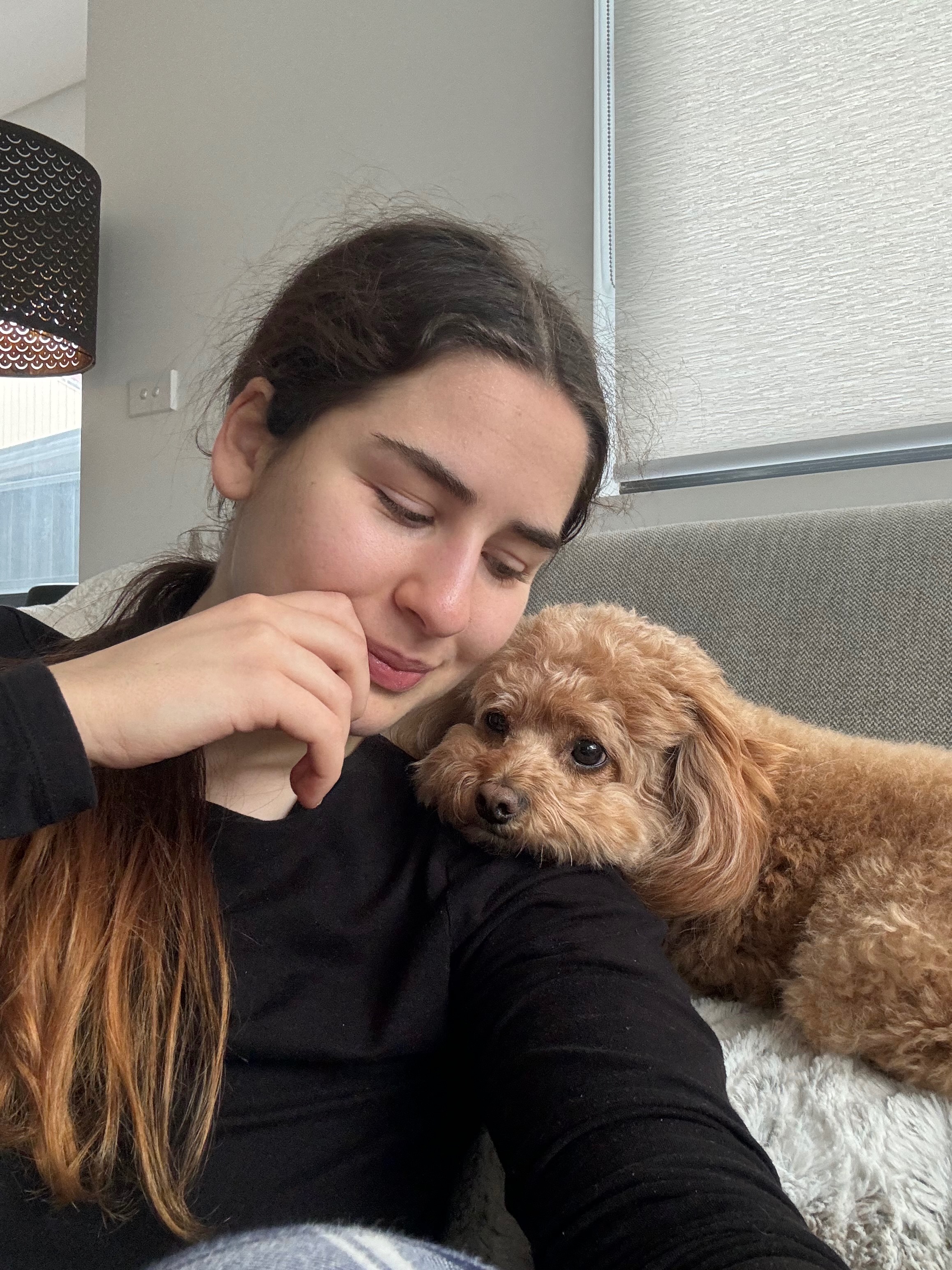 Help Save My Dog From Poisoning campaign photo, 4 of 6