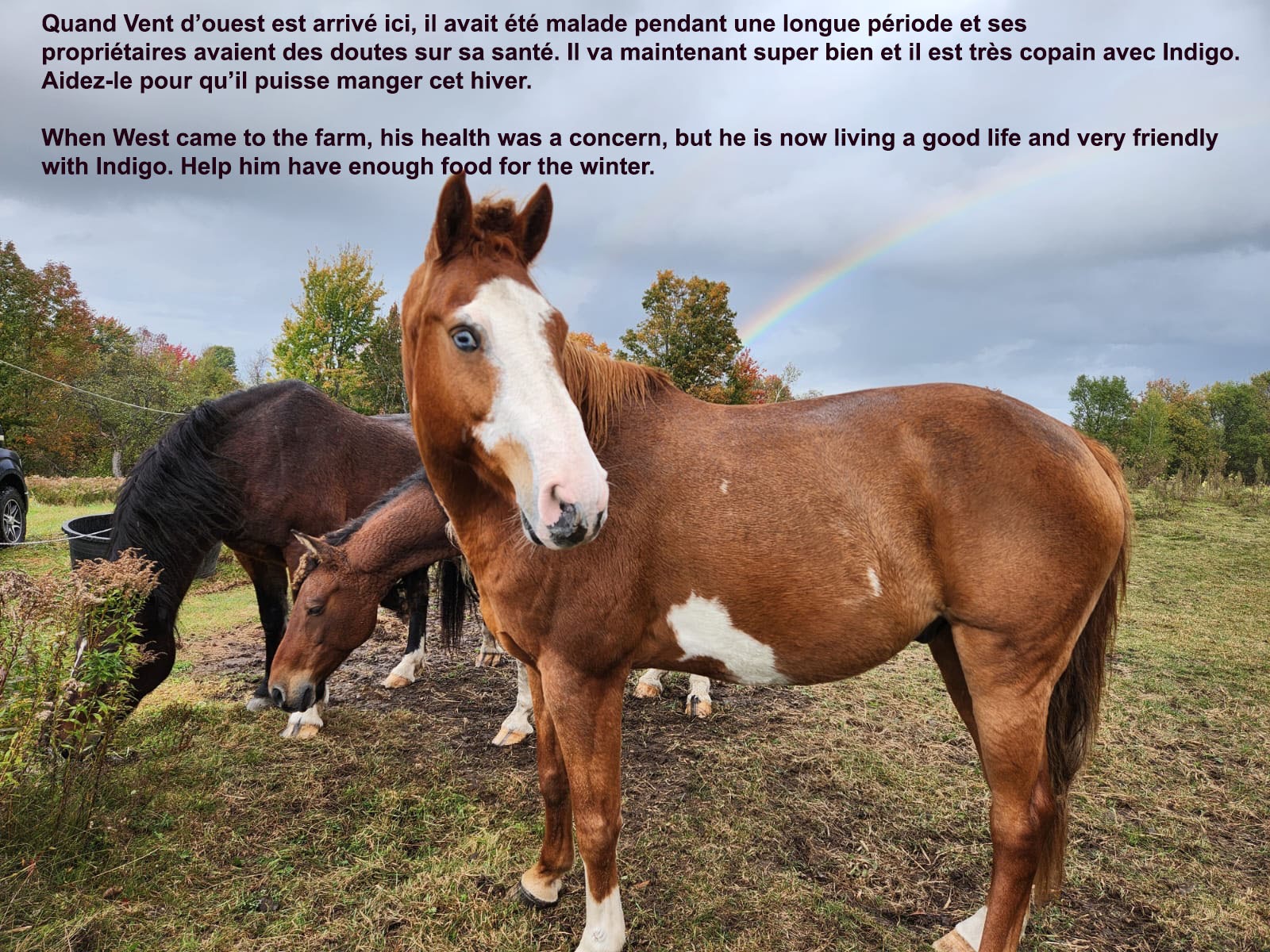 Ils ont besoin de vous-They need your help! campaign photo, 7 of 8