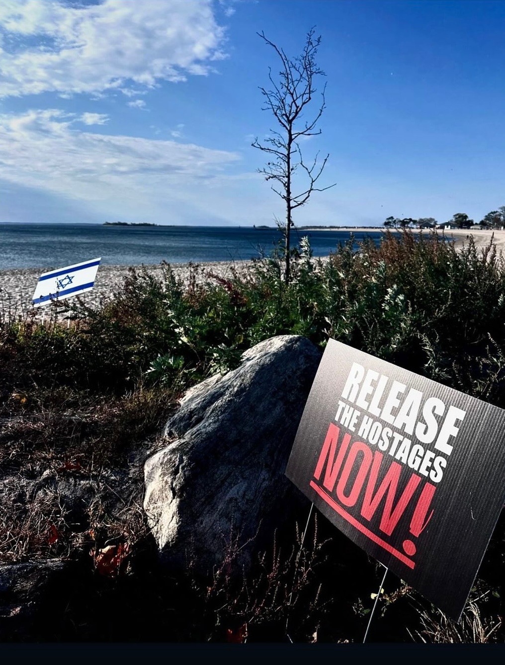 Release the Hostages Now - they need our help! campaign photo, 2 of 4