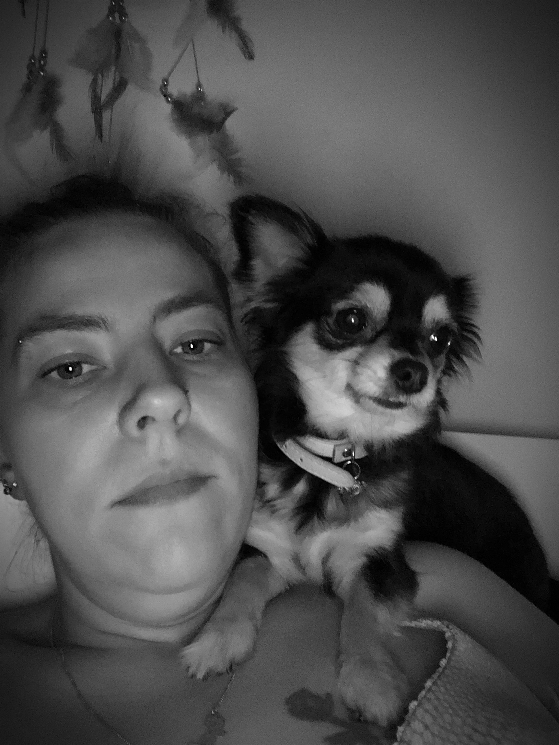 Wookiee needs Surgery for a Tumour removal. campaign photo, 2 of 8