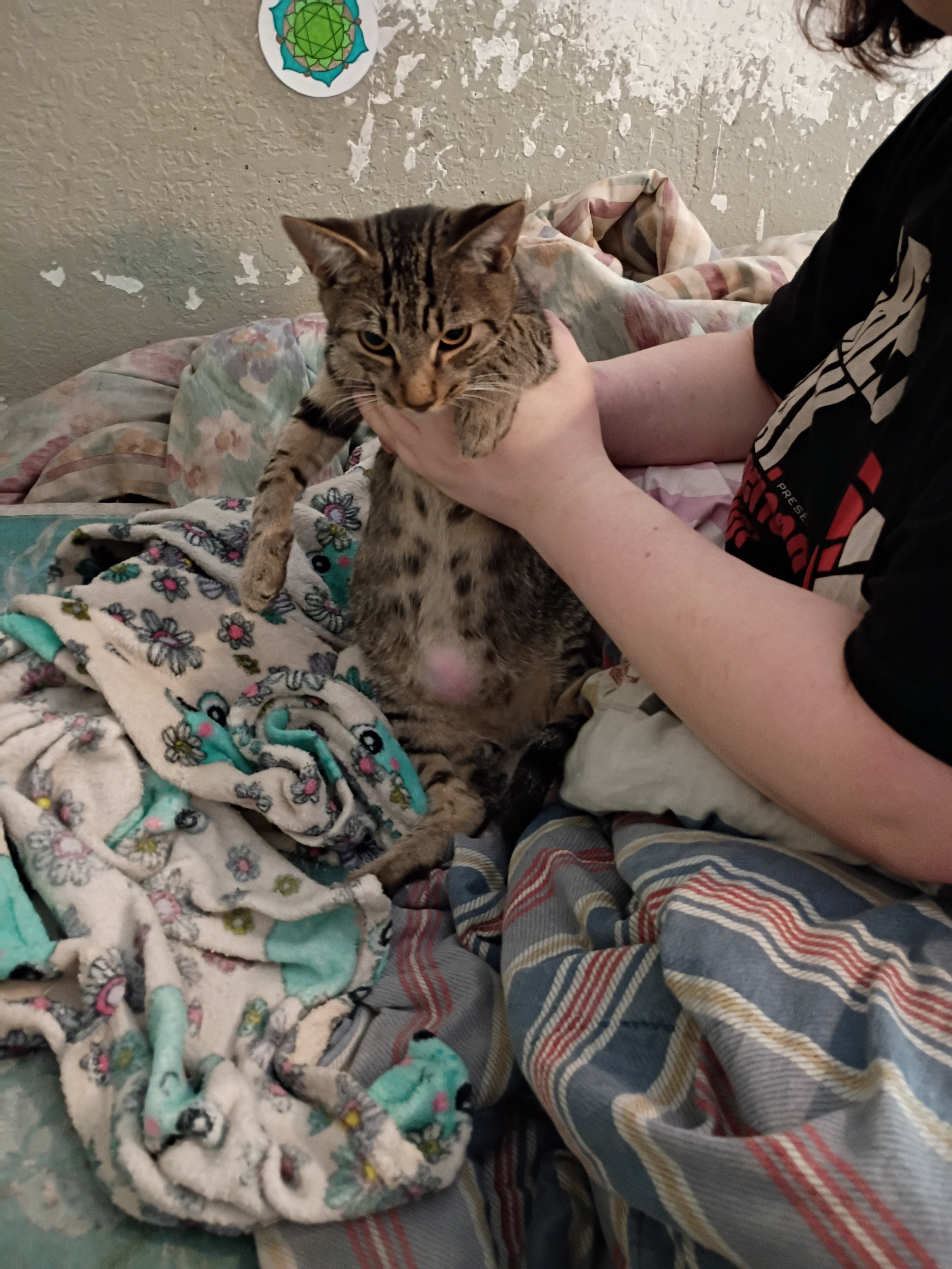 Save Teddy: Help Fund His Life-Saving Surgery campaign photo, 6 of 7