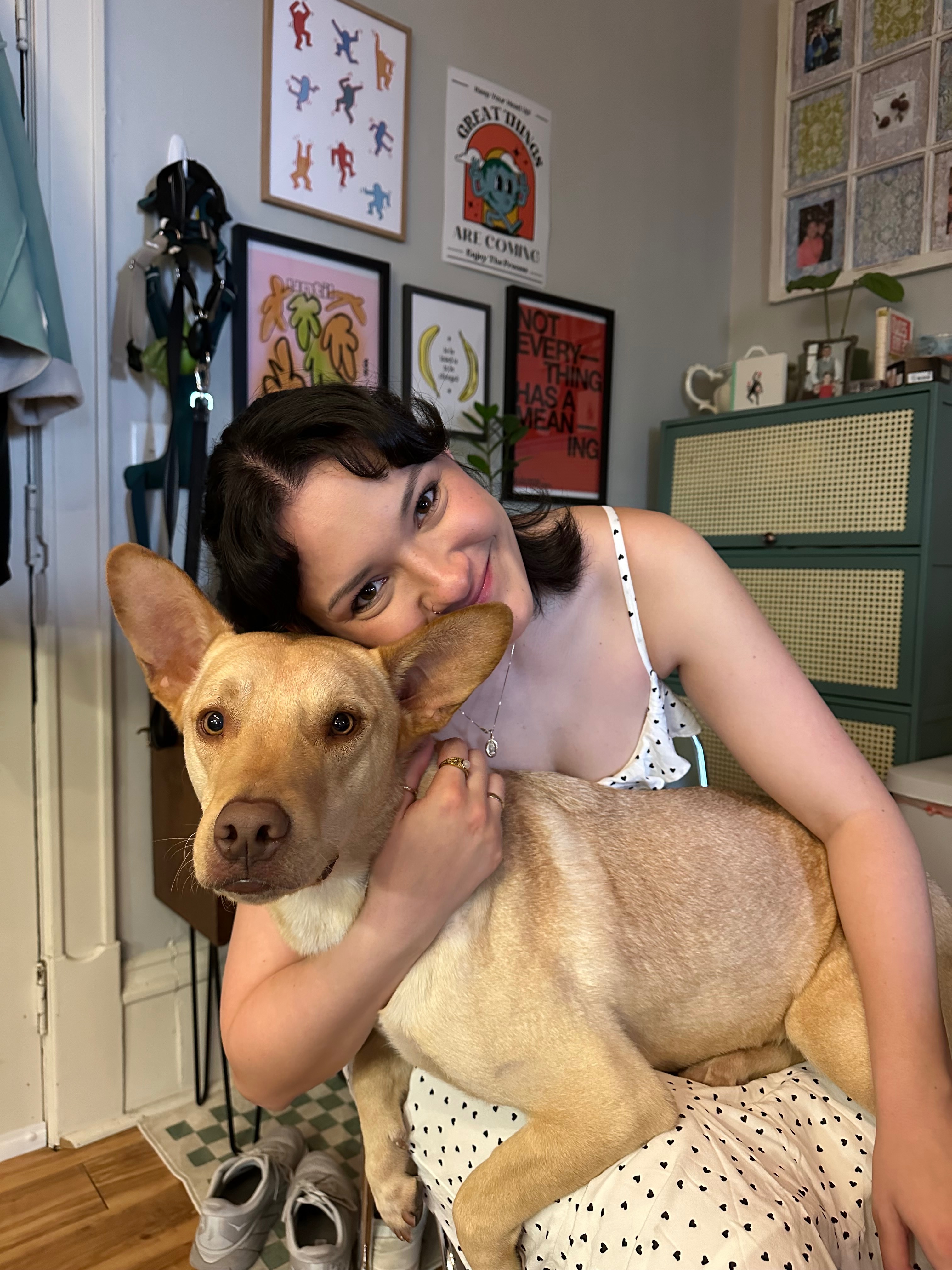 Help Bruno get ACL Surgery campaign photo, 2 of 8
