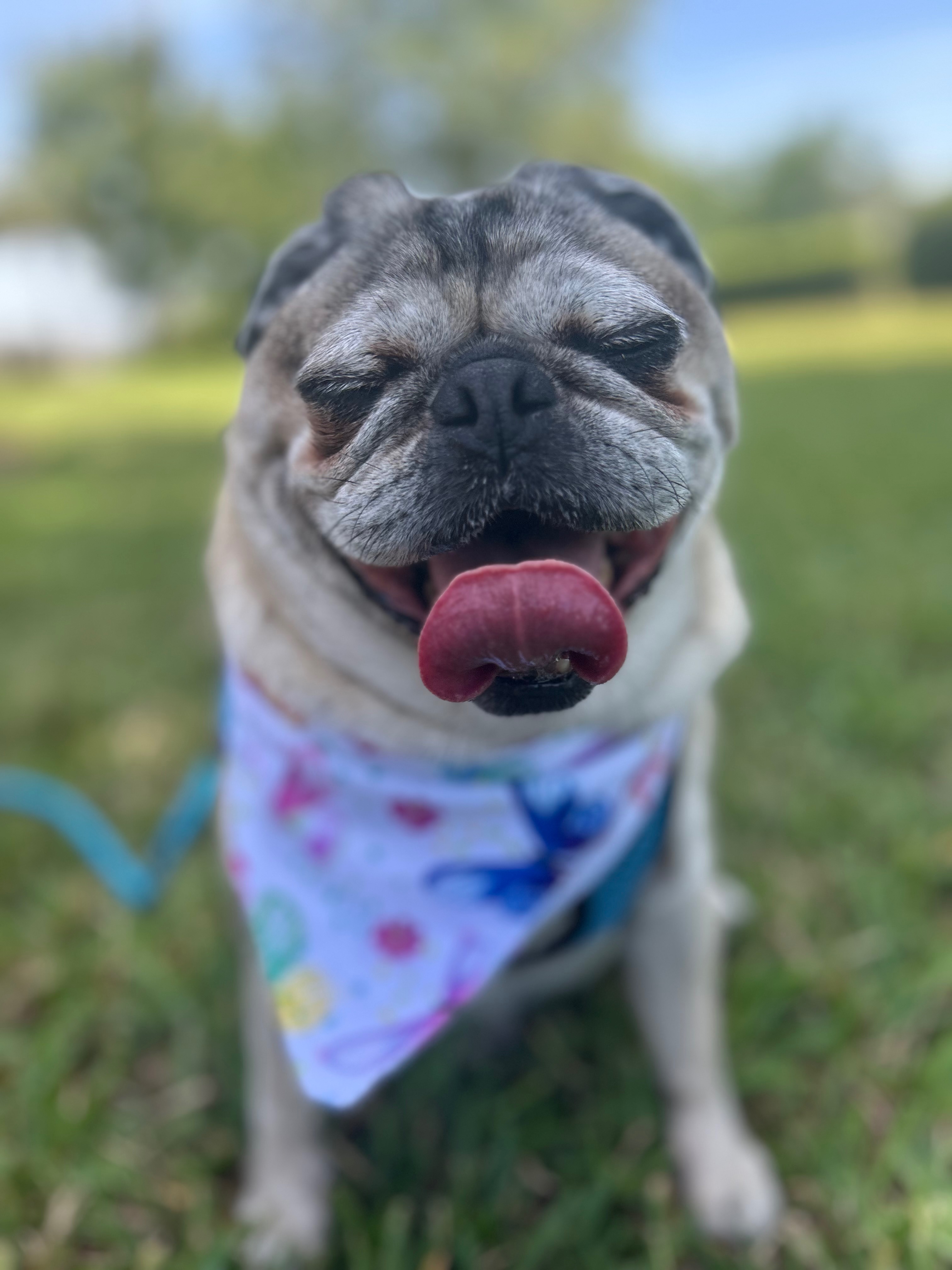 Hazel's emergency hospital stay campaign photo, 2 of 5