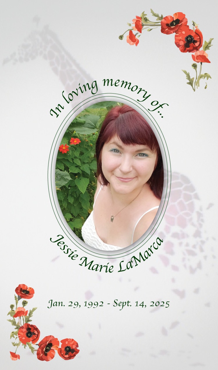 User-uploaded image 1