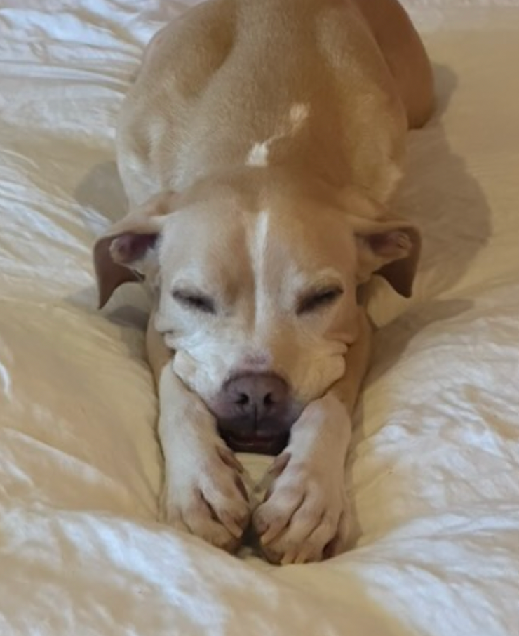Help Zero Get the Specialist Care He Needs campaign photo, 2 of 8