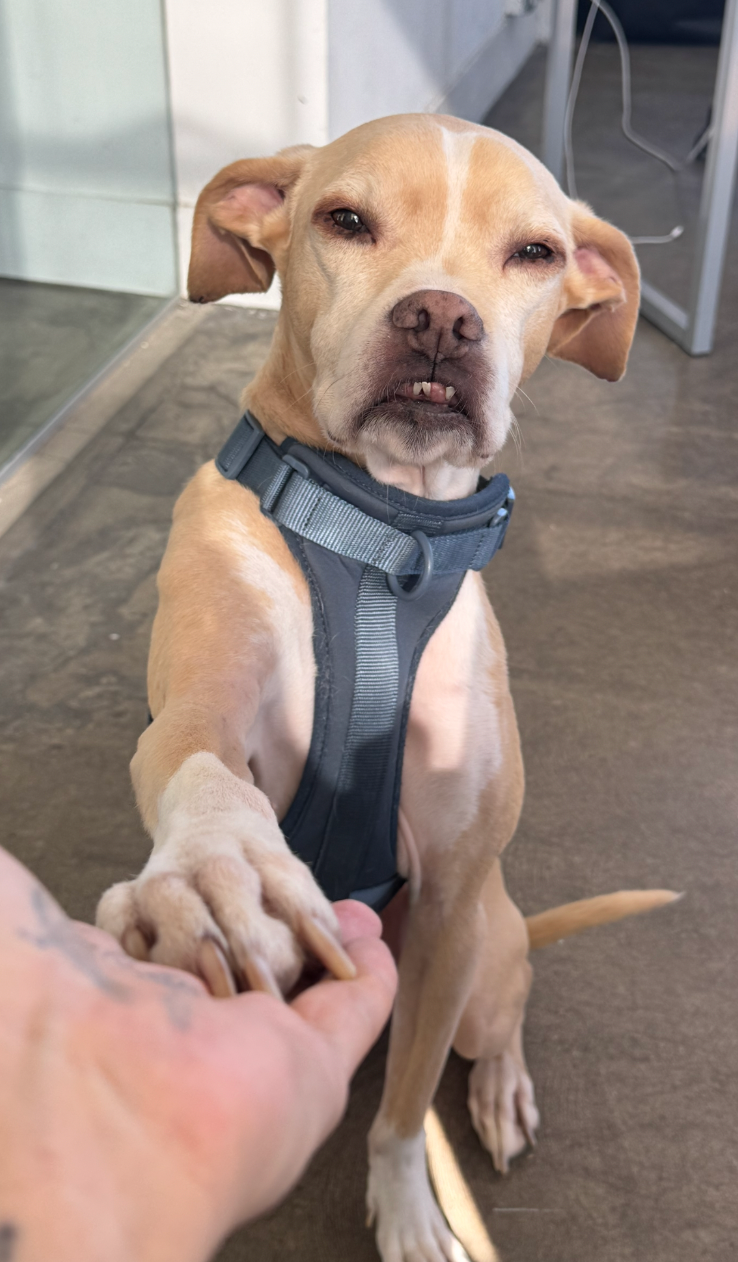 Help Zero Get the Specialist Care He Needs campaign photo, 5 of 8
