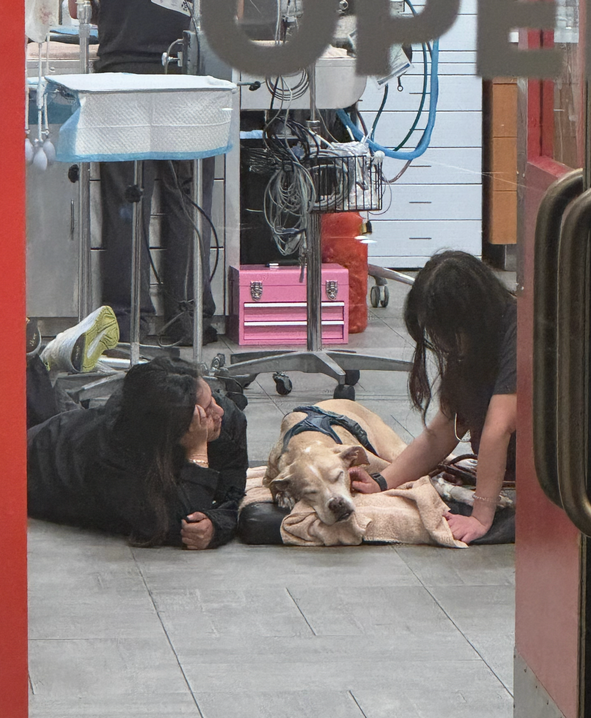 Help Zero Get the Specialist Care He Needs campaign photo, 6 of 8