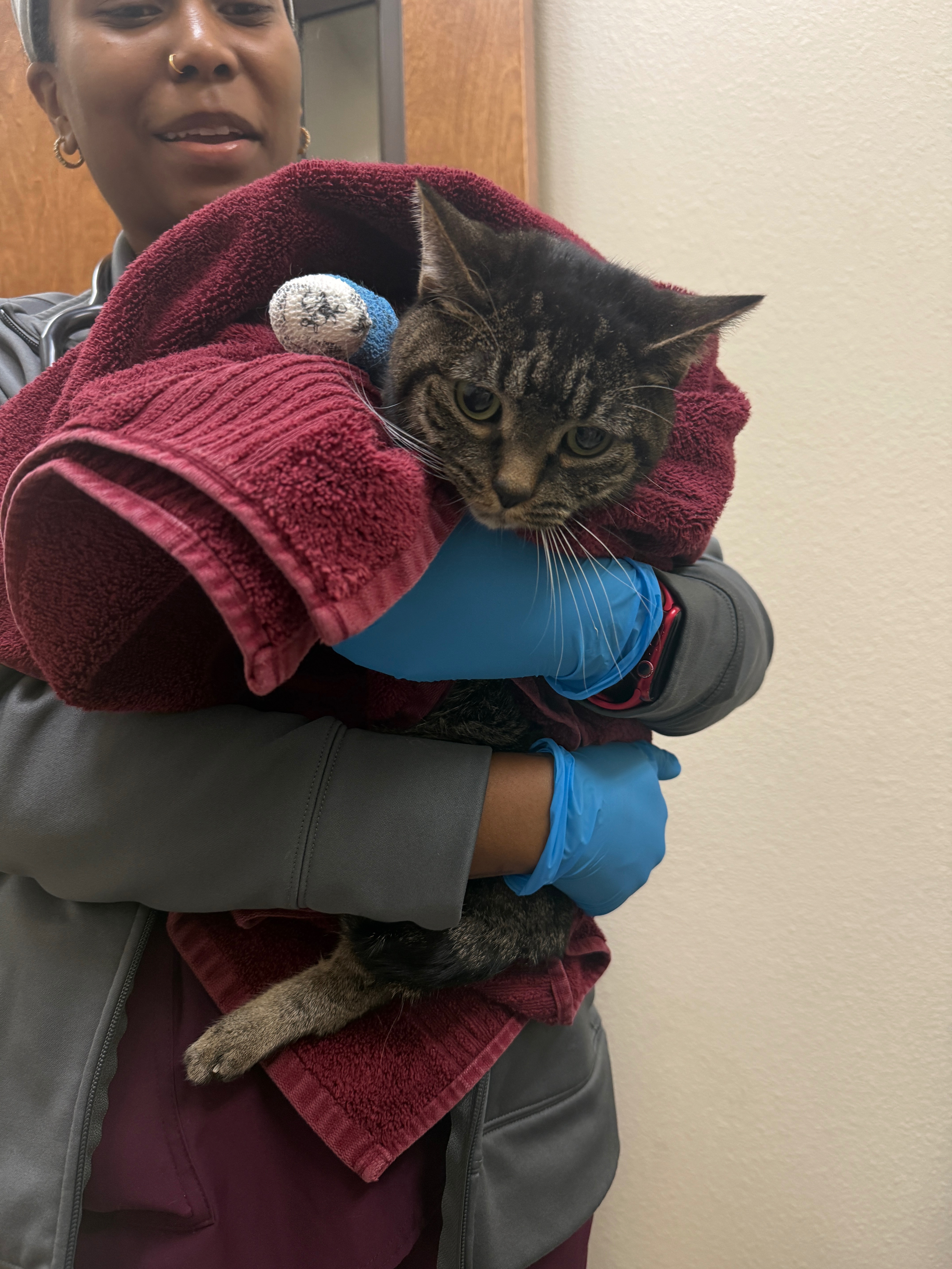 Donate to Paris's Urgent Kidney Surgery campaign photo, 2 of 5