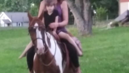 Horses and youth photo