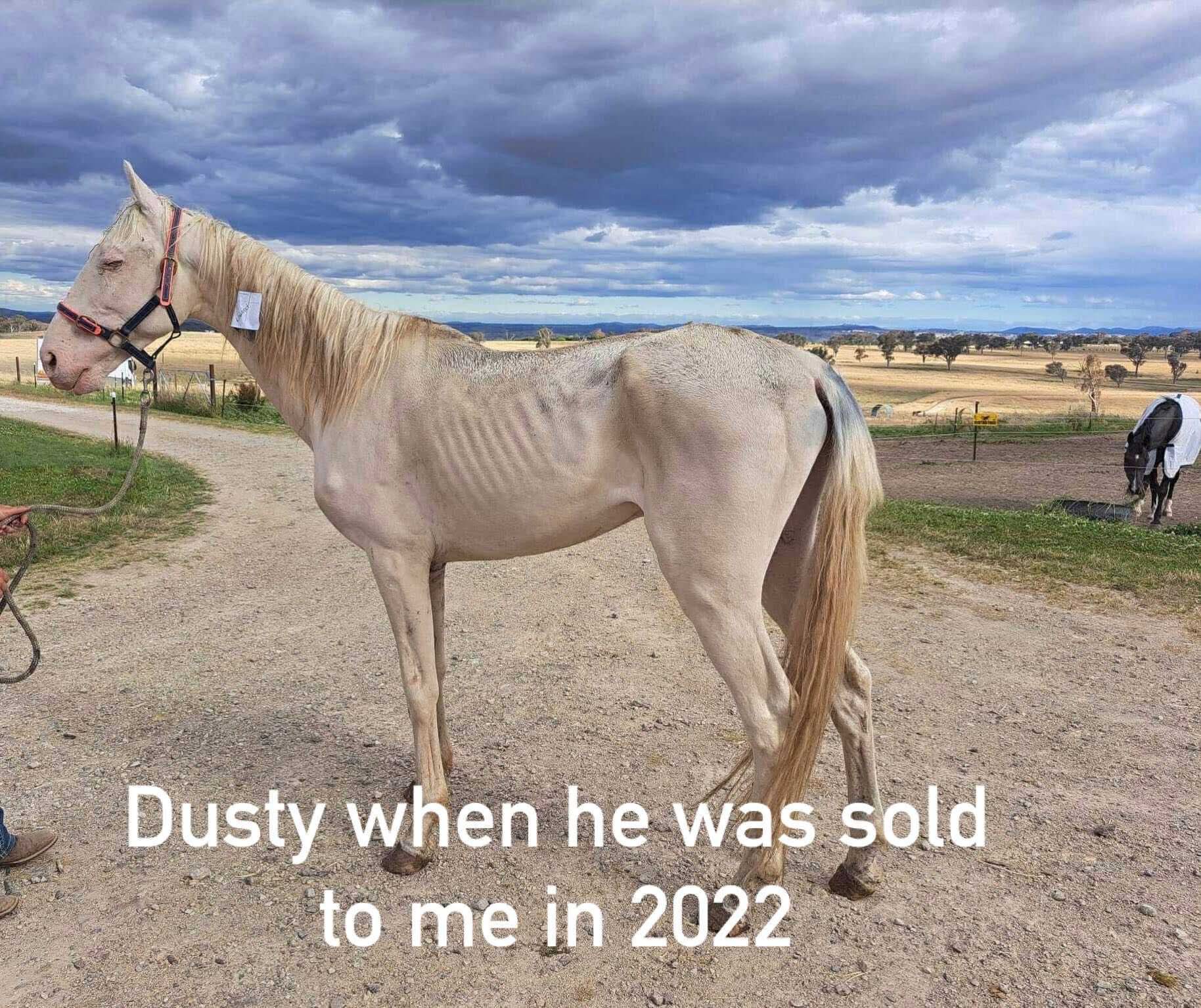 Attending Court For Dusty campaign photo, 2 of 5