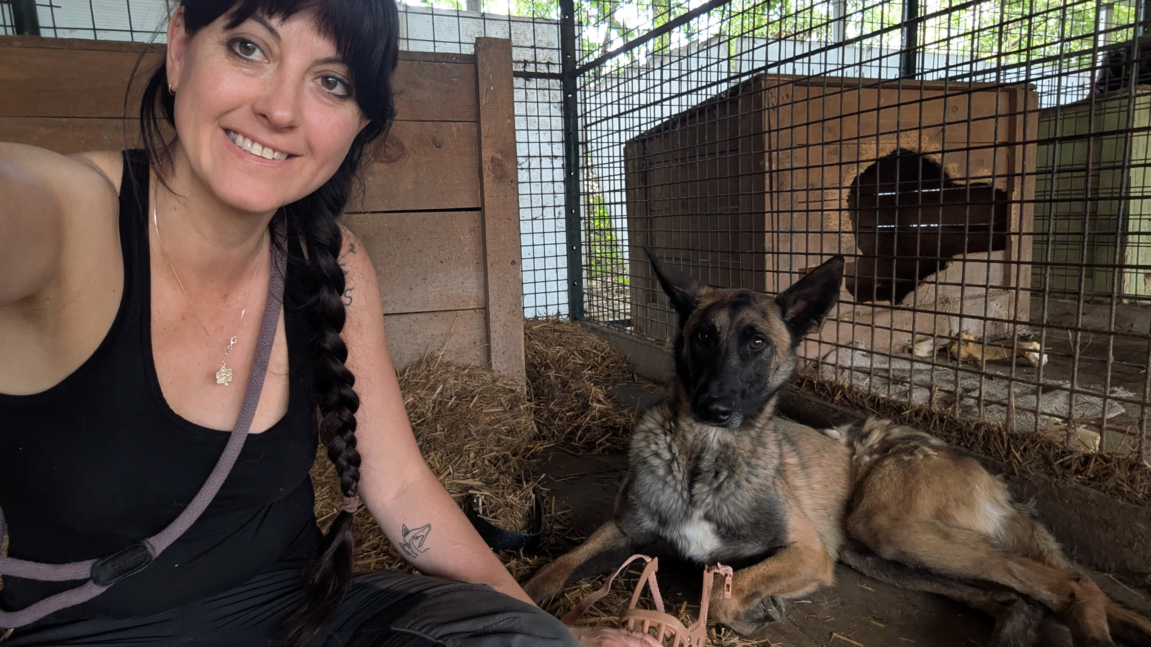 Zum Wohle der Hunde campaign photo, 5 of 7