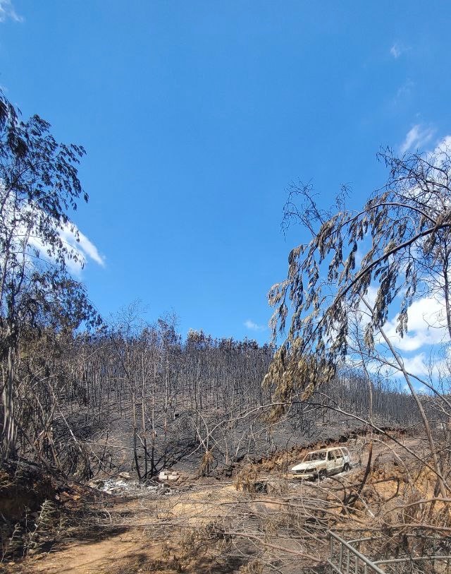 Help Mālā and Gary regenerate their land after the fires campaign photo, 5 of 8