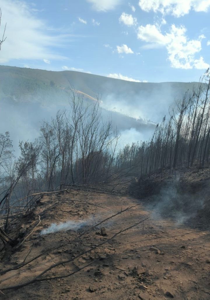 Help Mālā and Gary regenerate their land after the fires campaign photo, 4 of 8