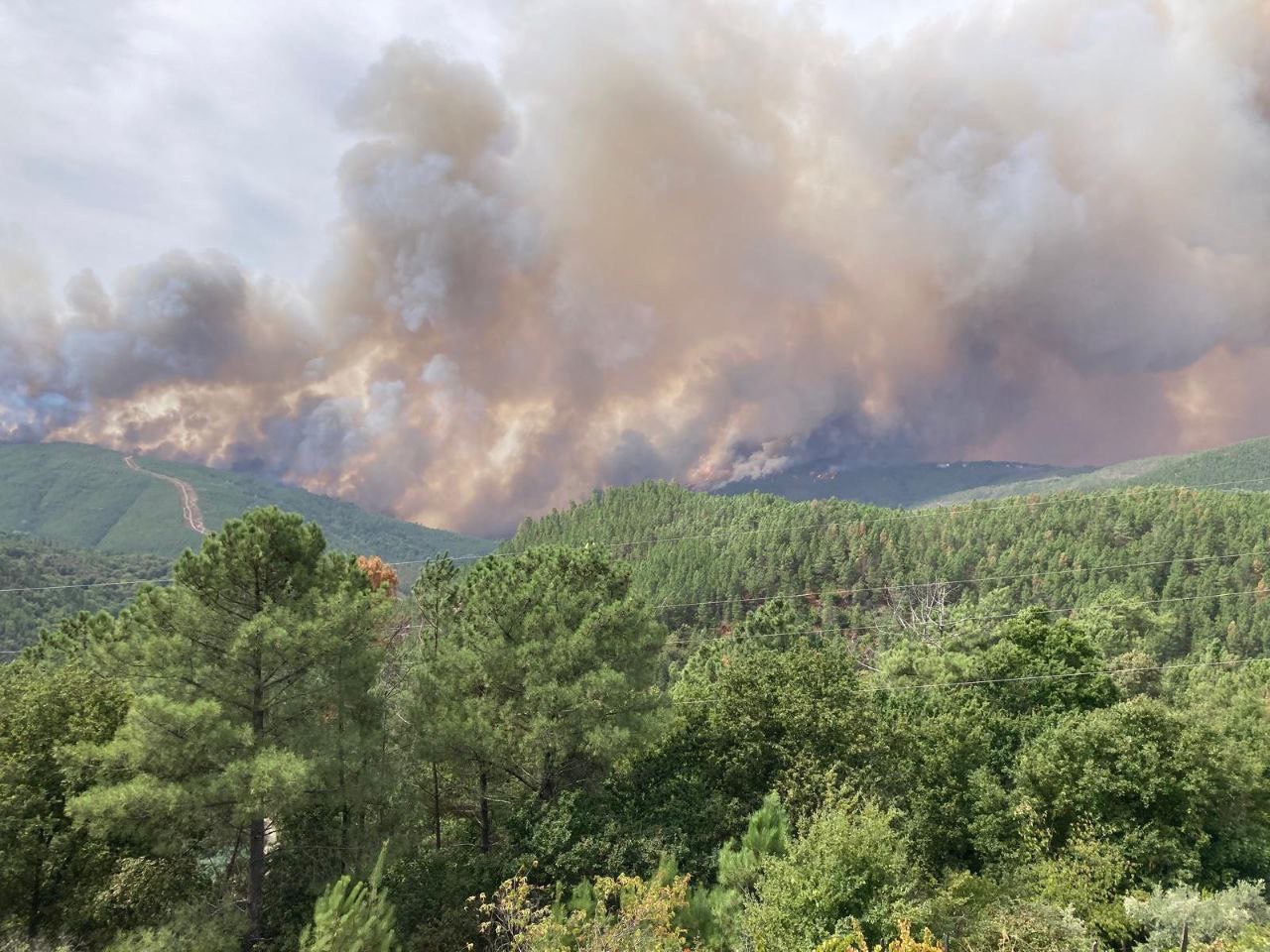 Help Mālā and Gary regenerate their land after the fires campaign photo, 2 of 8