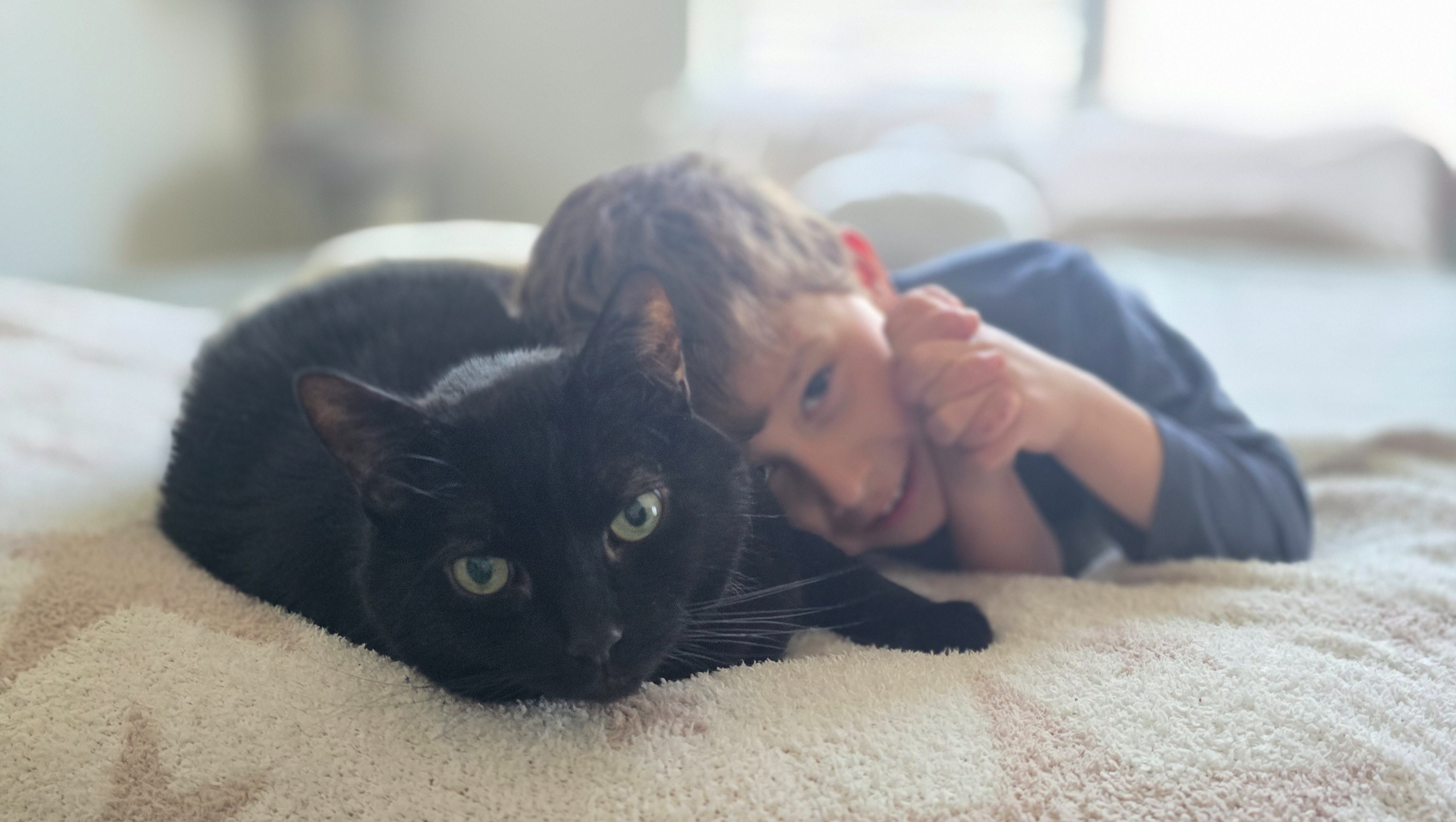 Fundraiser for Jared Heuser by Brittany Heuser : Help Us Save Crog, the ...