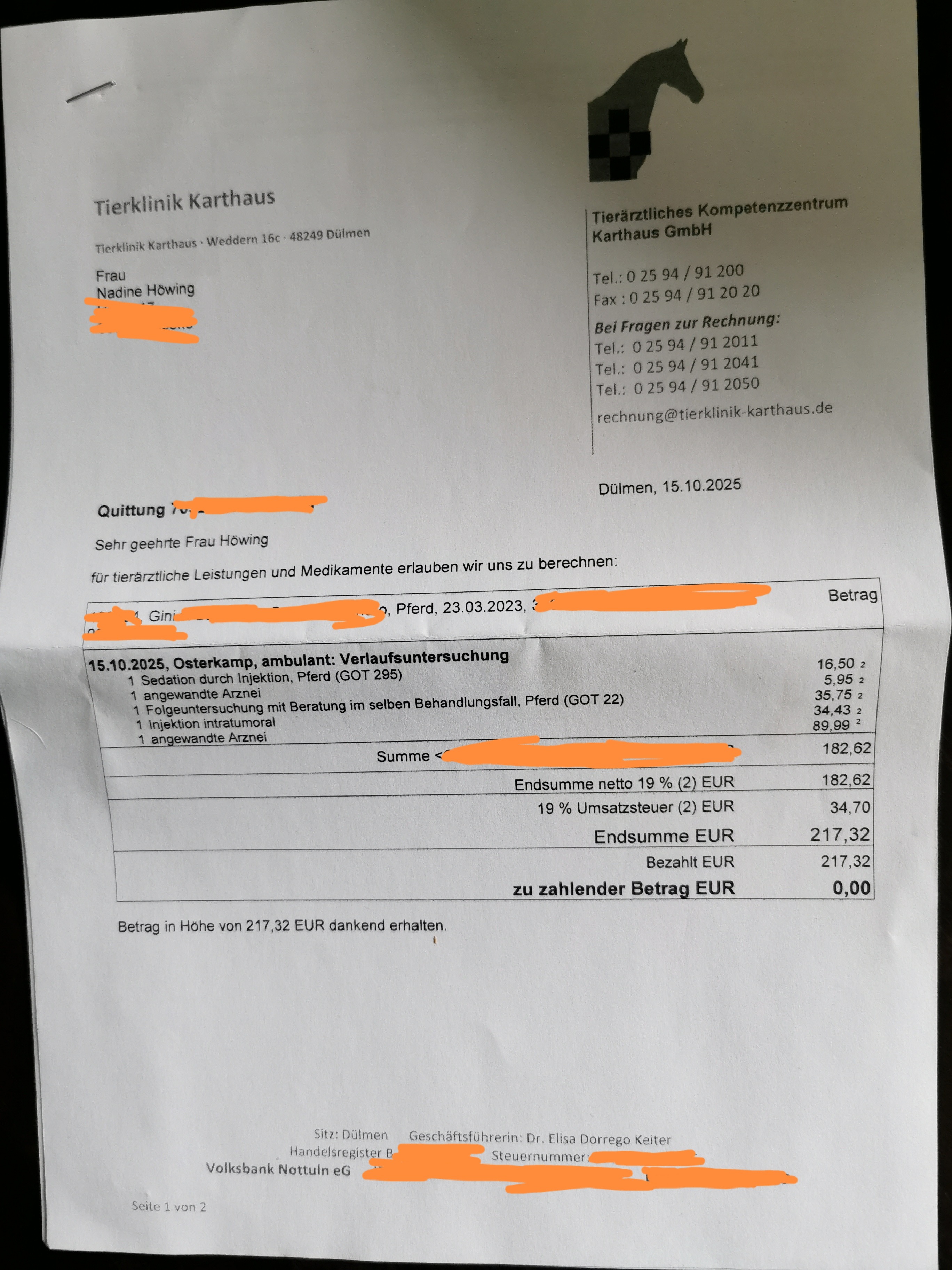 Augenlicht retten: Hilfe für meine junge Stute campaign photo, 6 of 8