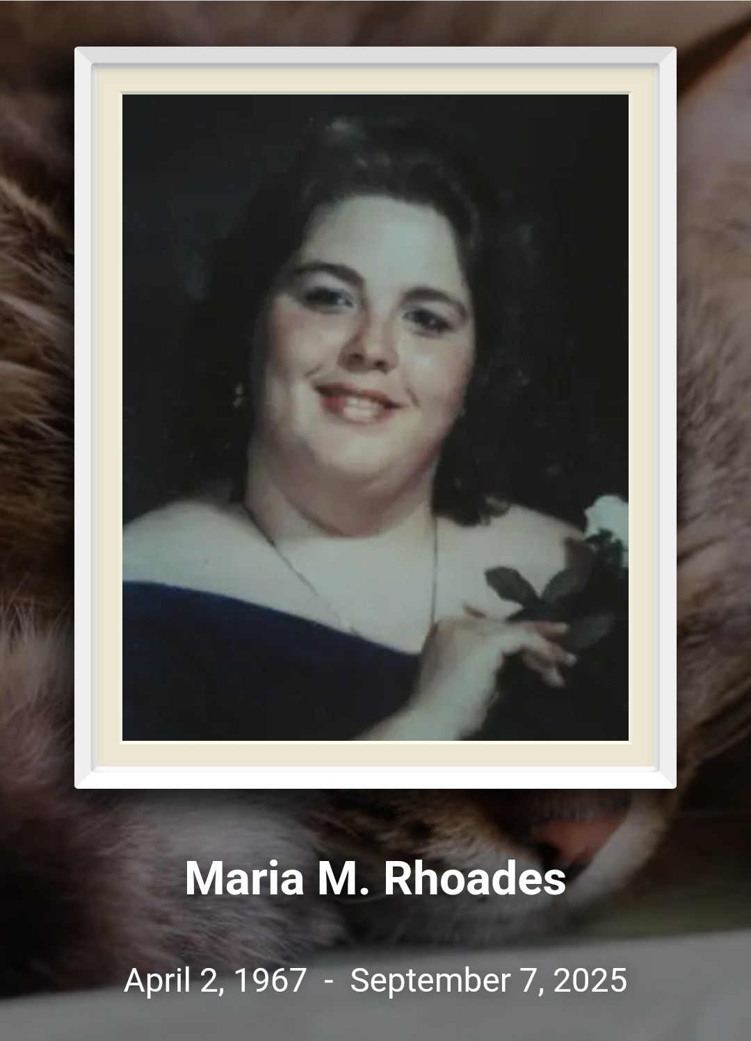 User-uploaded image 1