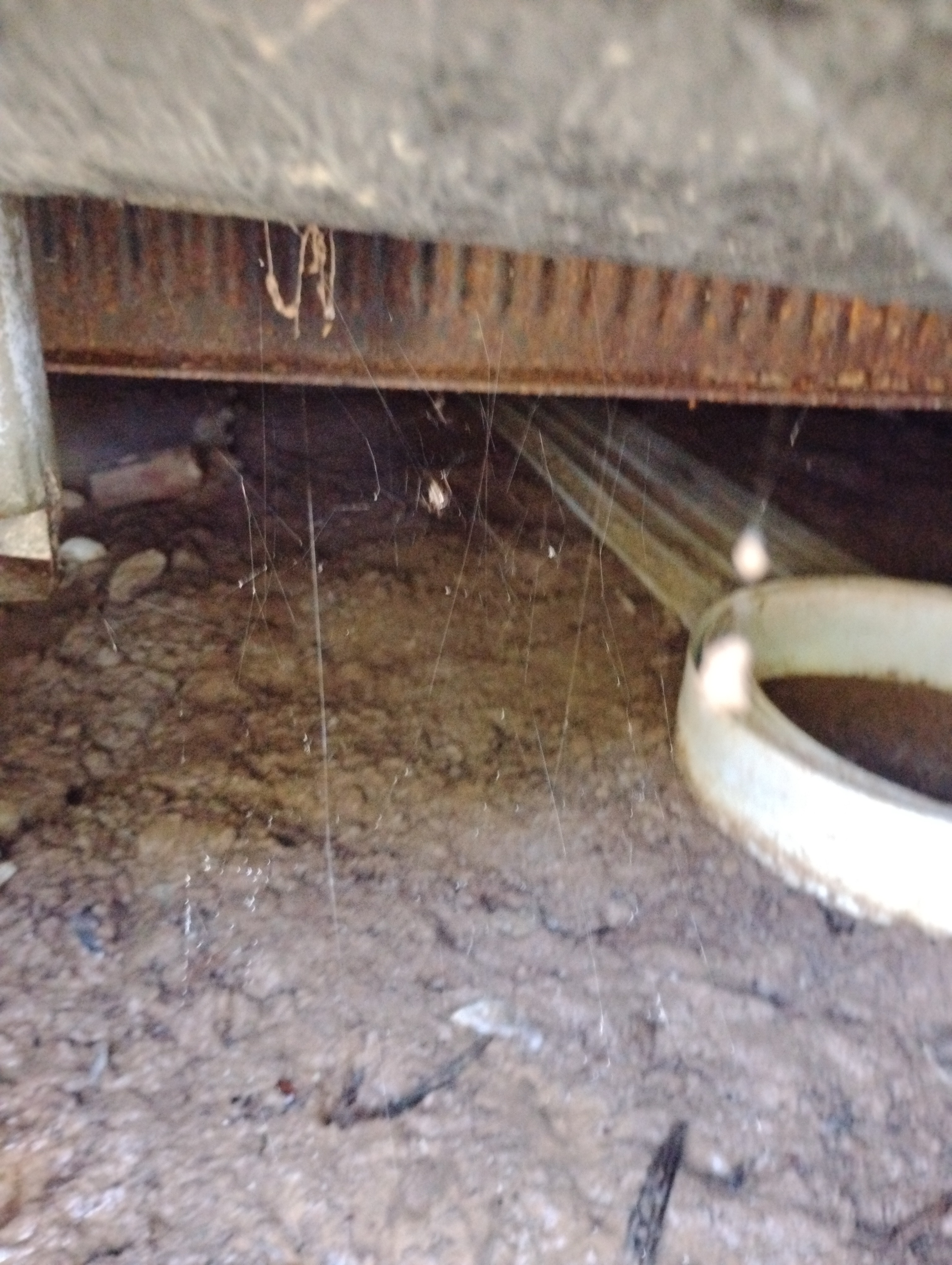 Please help us fix the damage to our home! campaign photo, 6 of 8