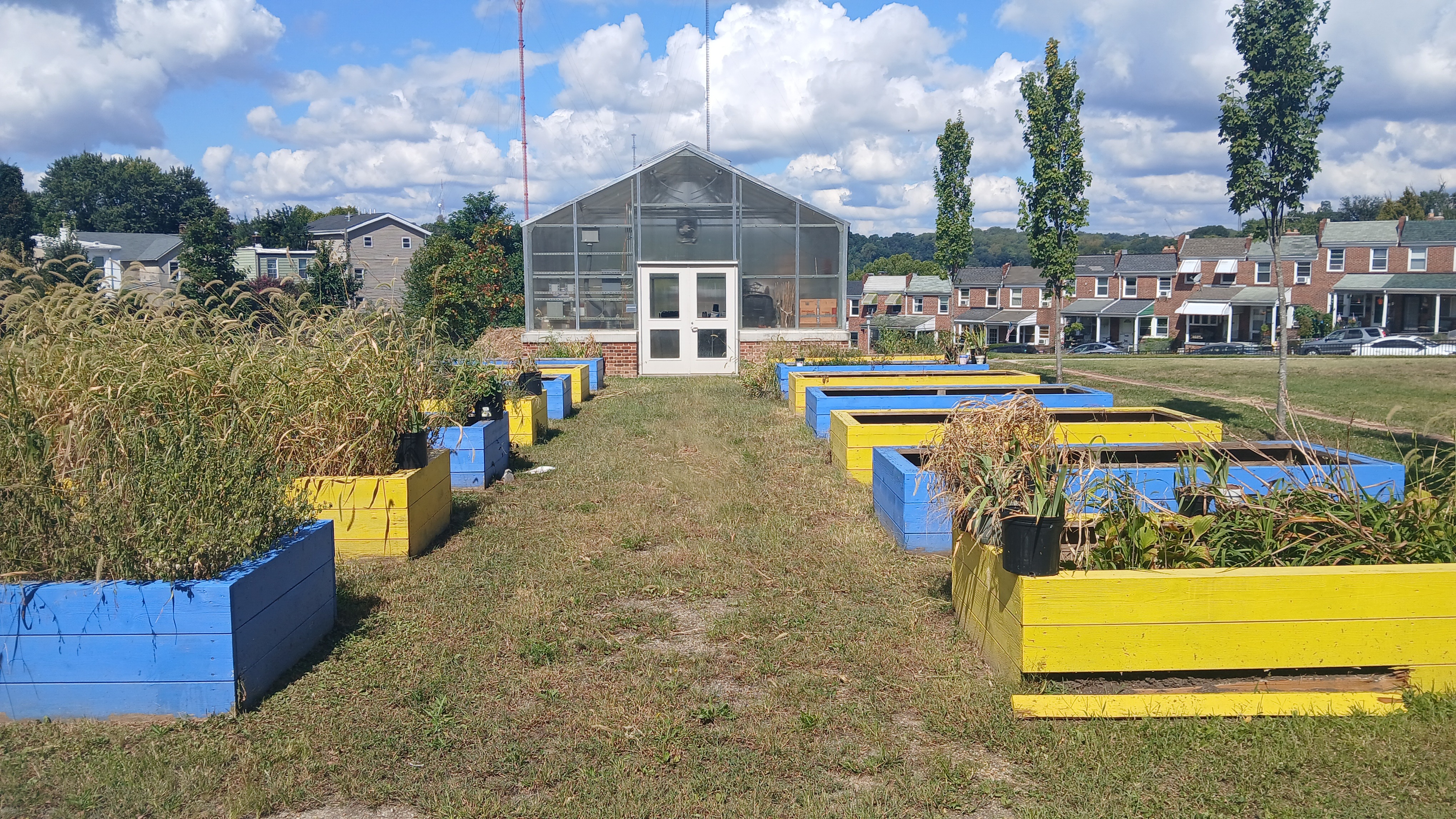 Tahir's ACCE Garden Learning Tables Project campaign photo, 2 of 5