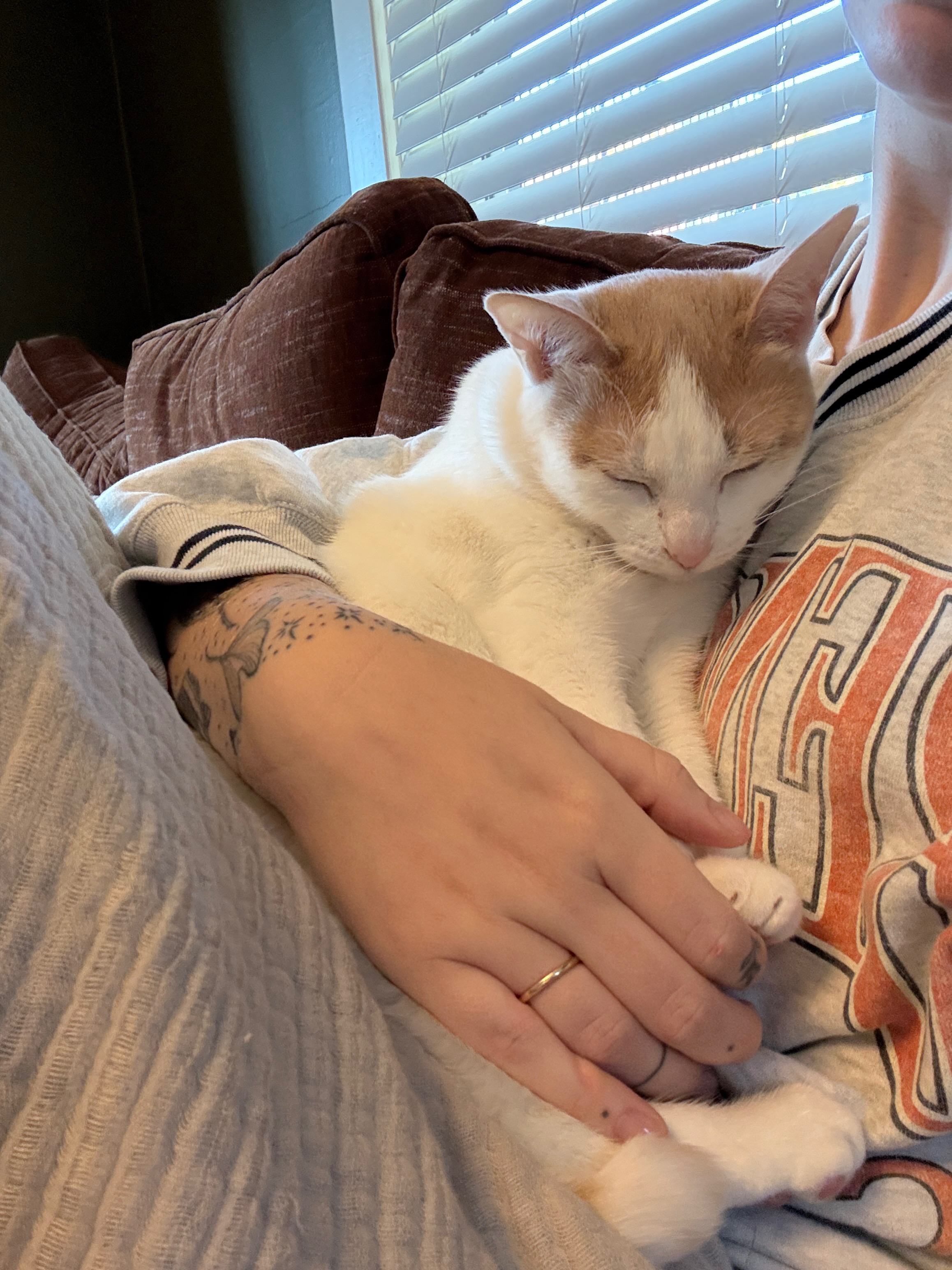 Donate to help Peach (the sweetest angel bb) campaign photo, 7 of 8