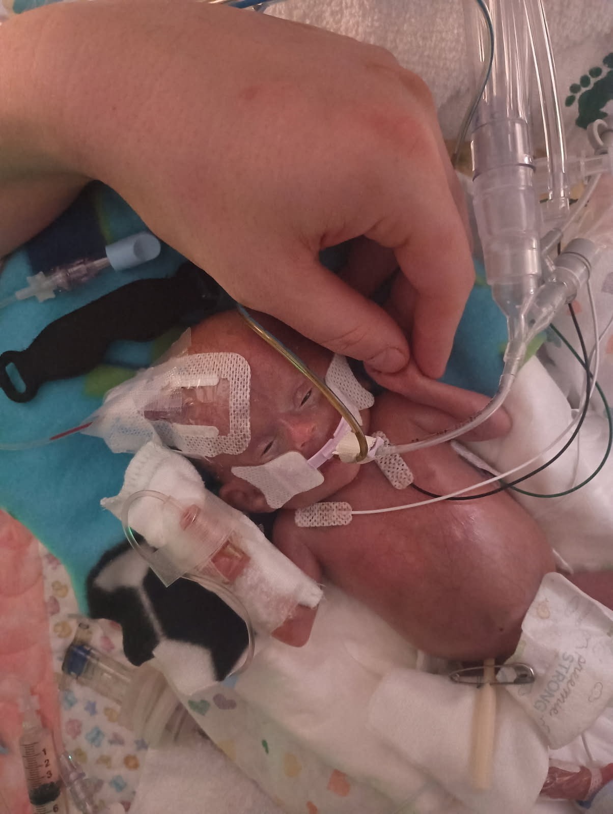 Remembering Clare and Helping Allison – Jill & Zach's Twins campaign photo, 4 of 5