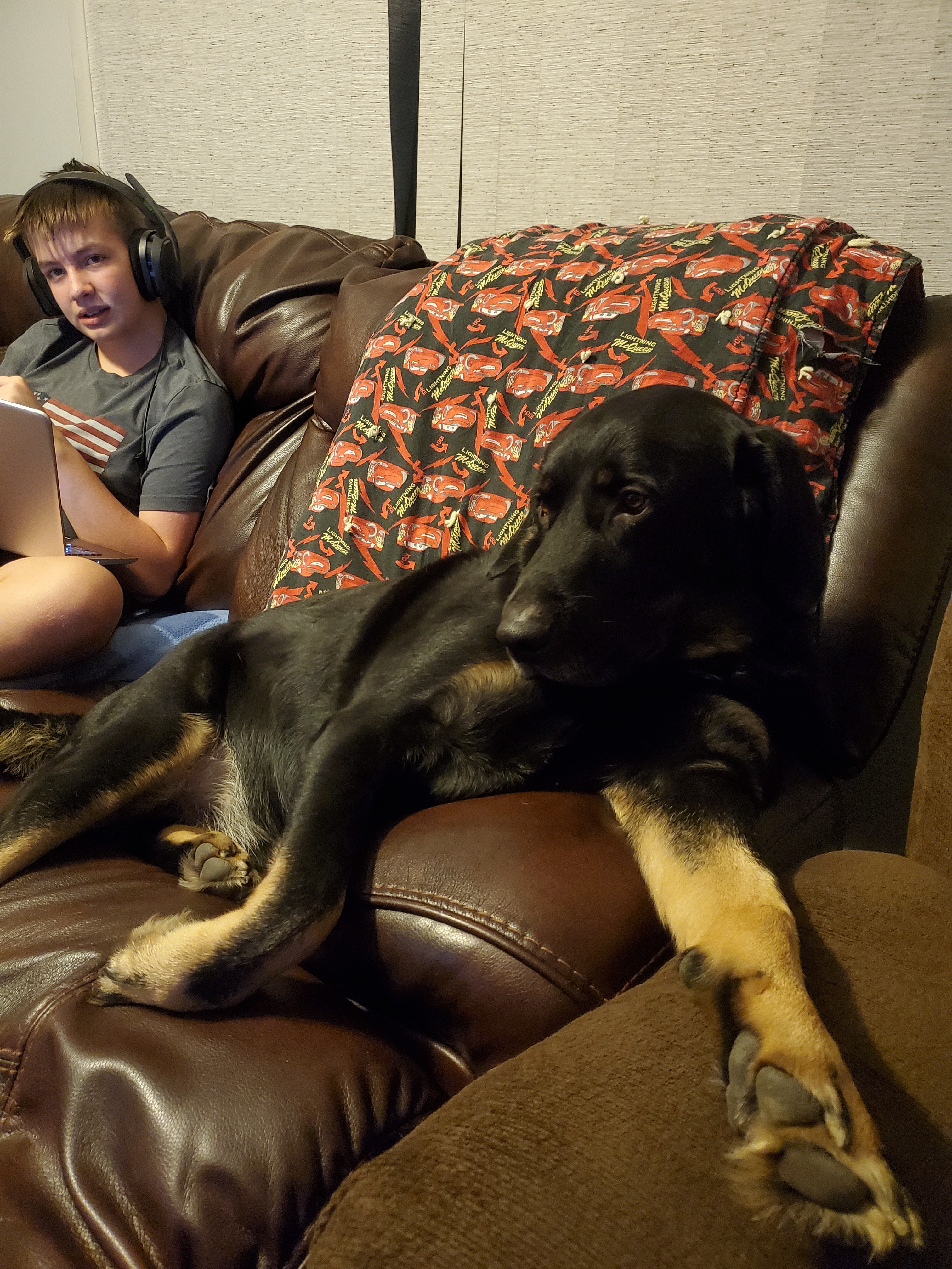 Rugers chemo help fund. Trying to give him his best life. campaign photo, 4 of 7