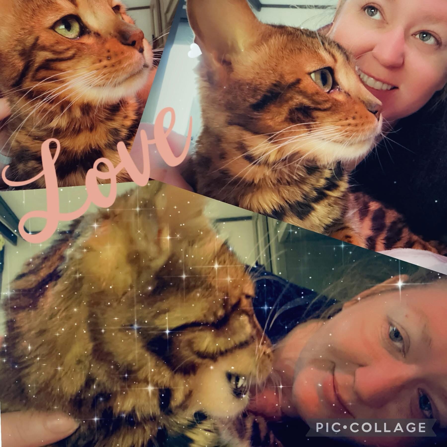 Help Kathleen Save Her Beloved Max campaign photo, 5 of 8