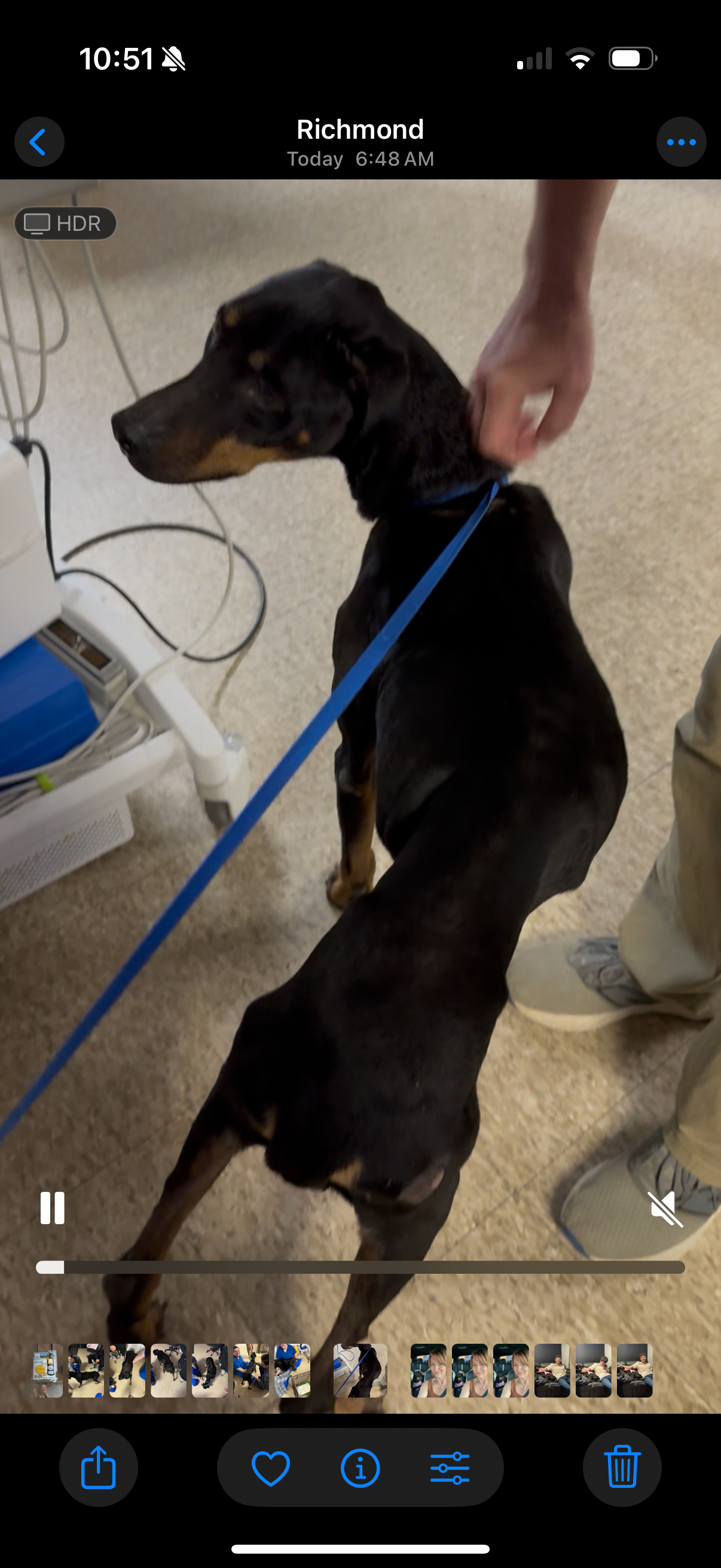 User-uploaded image 1