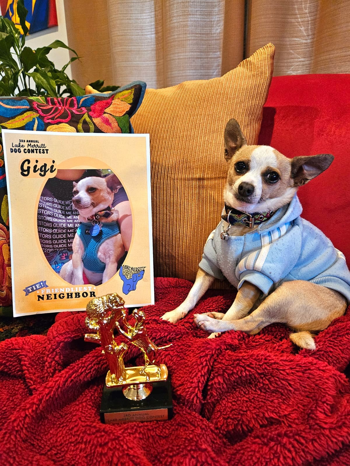 Gigi Needs a Lifesaving Vet Visit — Help Her Heal! campaign photo, 4 of 8