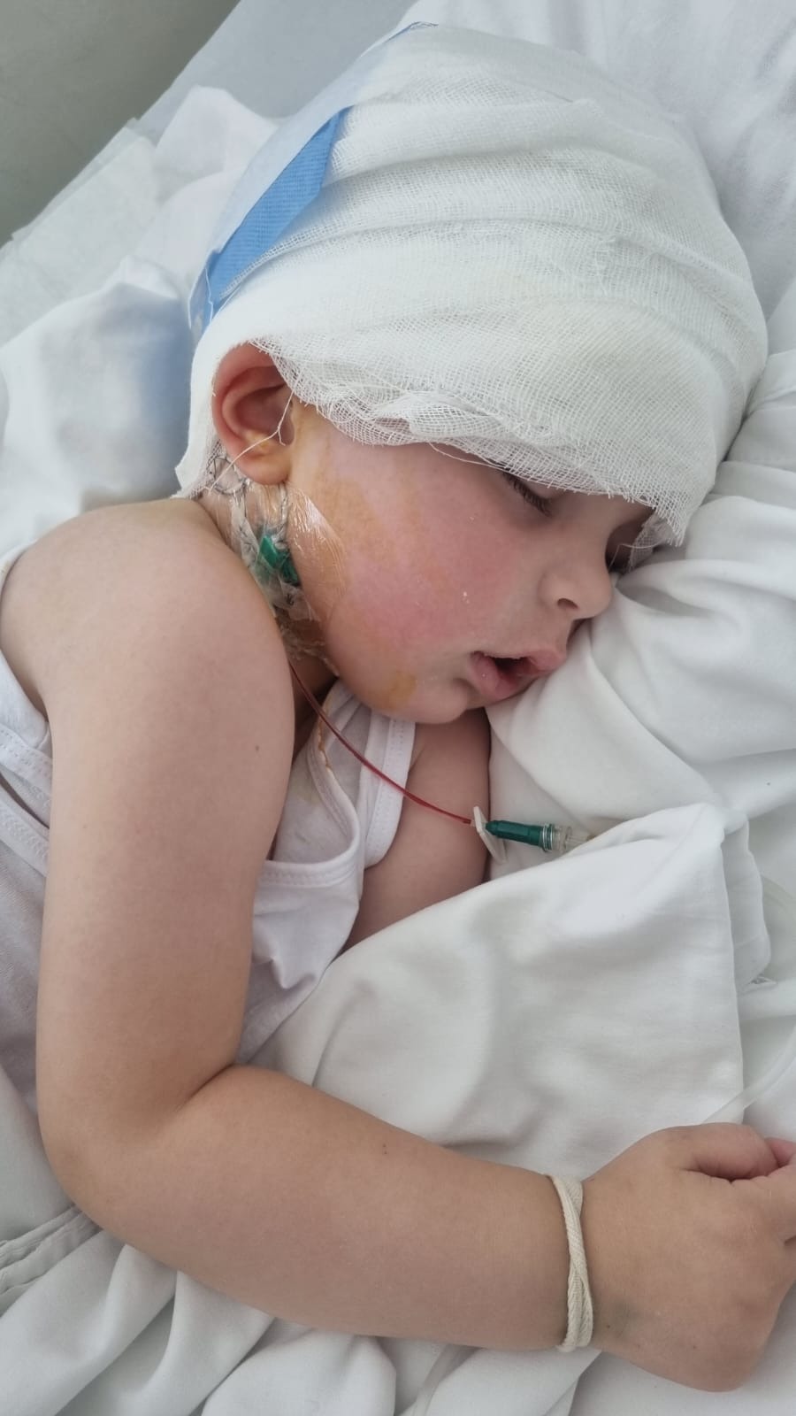 Vom Nutzer hochgeladenes Bild 1