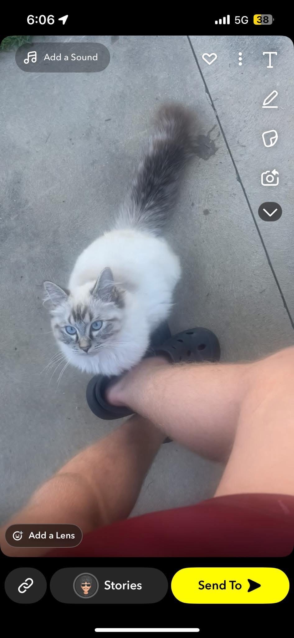 User-uploaded image 1