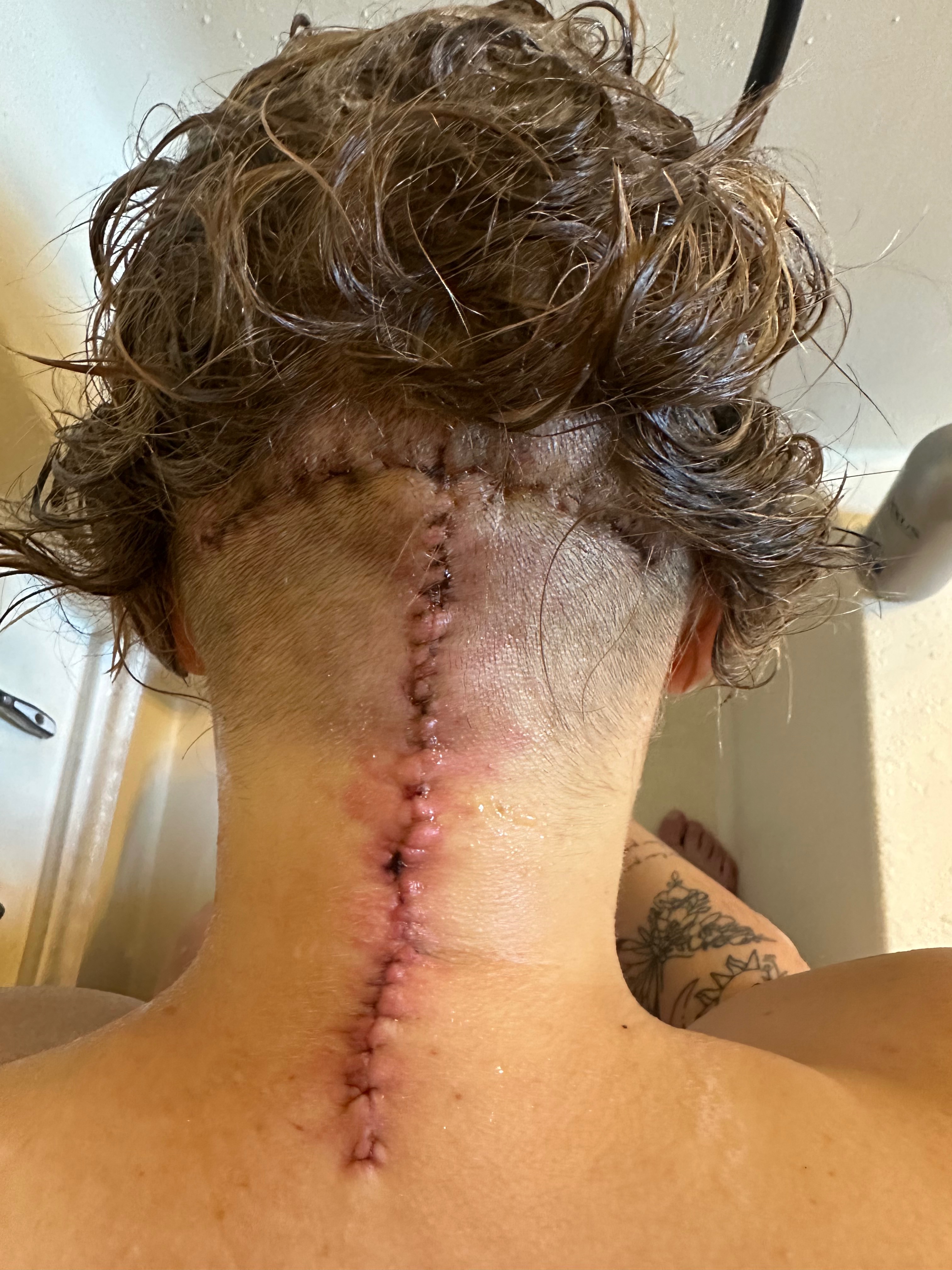 User-uploaded image 1