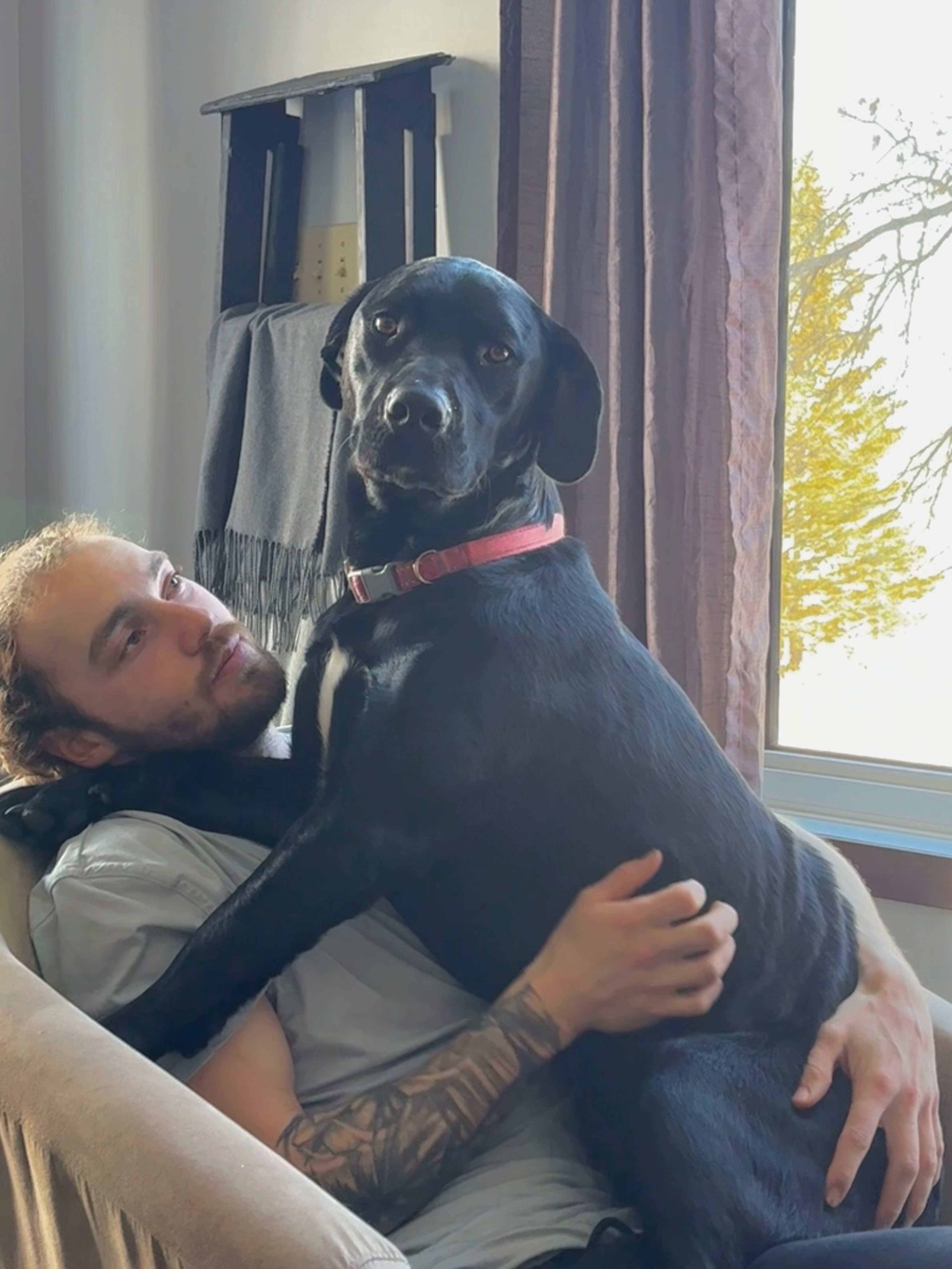 Help Us Save Stars Life campaign photo, 2 of 8