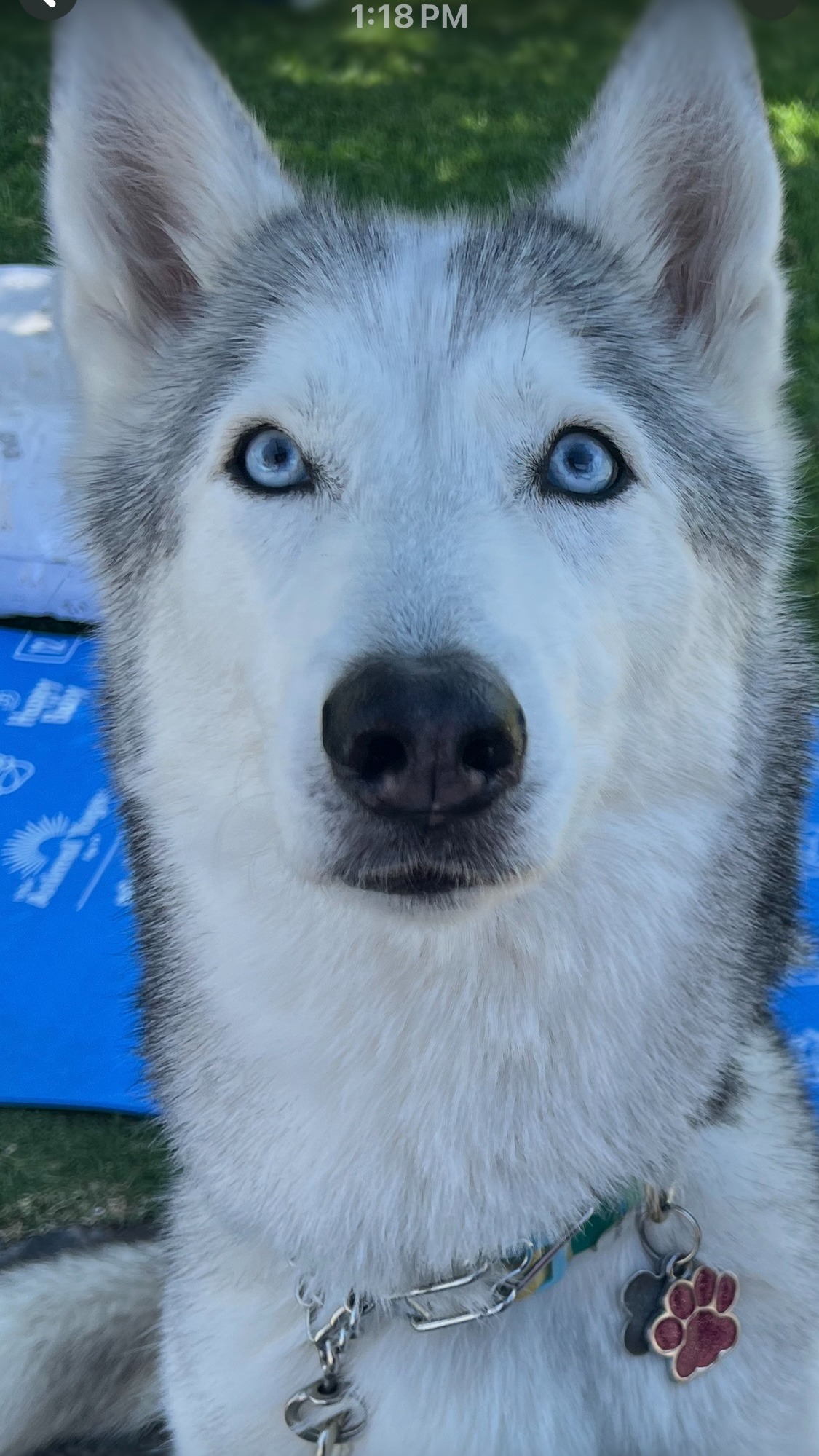 Support For DAKOTA campaign photo, 2 of 8
