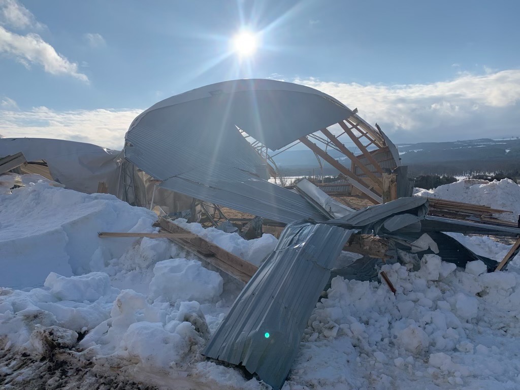 Let’s Help Kimber Valley Farms Rebuild campaign photo, 2 of 8