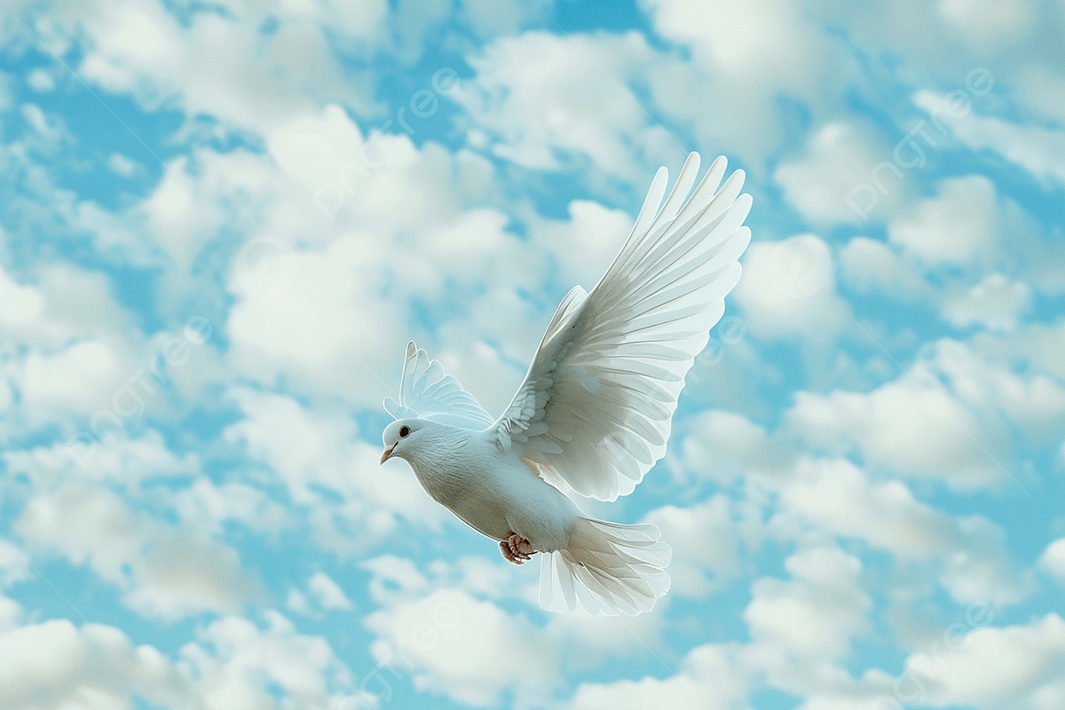 User-uploaded image 1