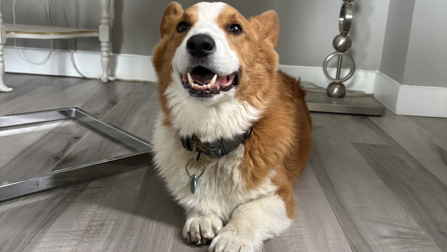 Link's Lymphoma Journey photo