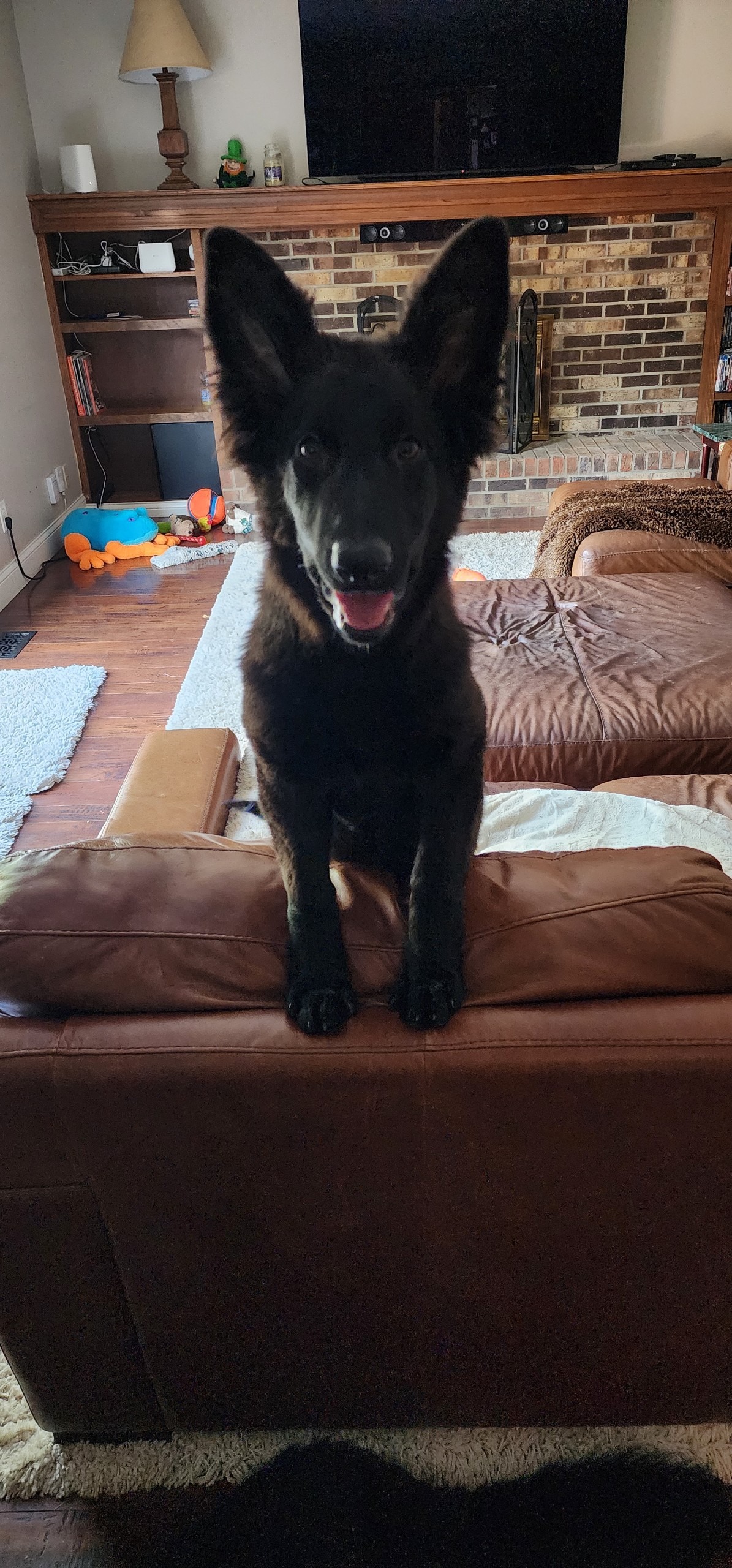 Help Raven Get Life-Saving Heart Surgery campaign photo, 5 of 8