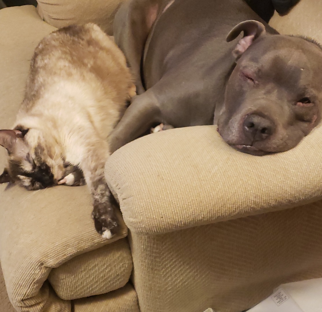 User-uploaded image 1