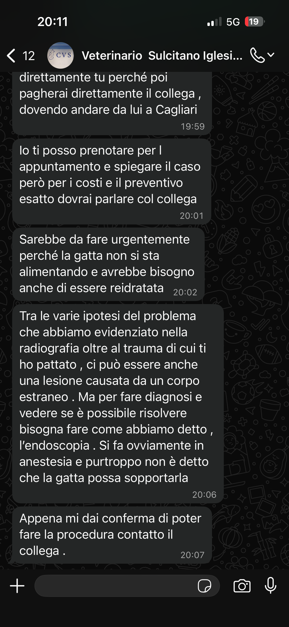 Donazione per l’endoscopia per la gatta e forse per l’operaz campaign photo, 4 of 7