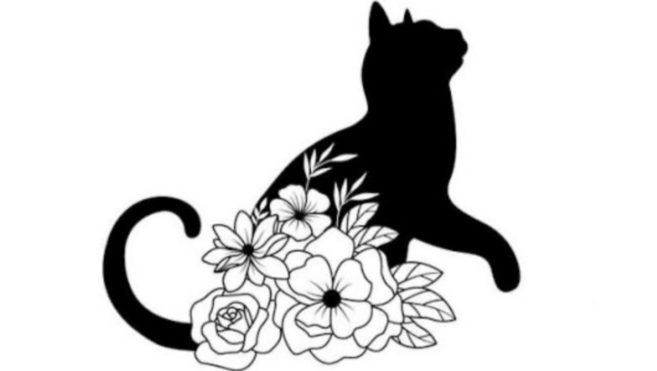 Christine’s Cat Rescue: Rescue, Fix, & Rehome photo