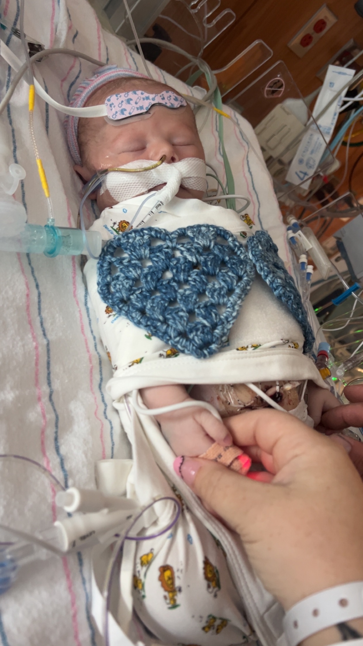 Baby Mav campaign photo, 4 of 5